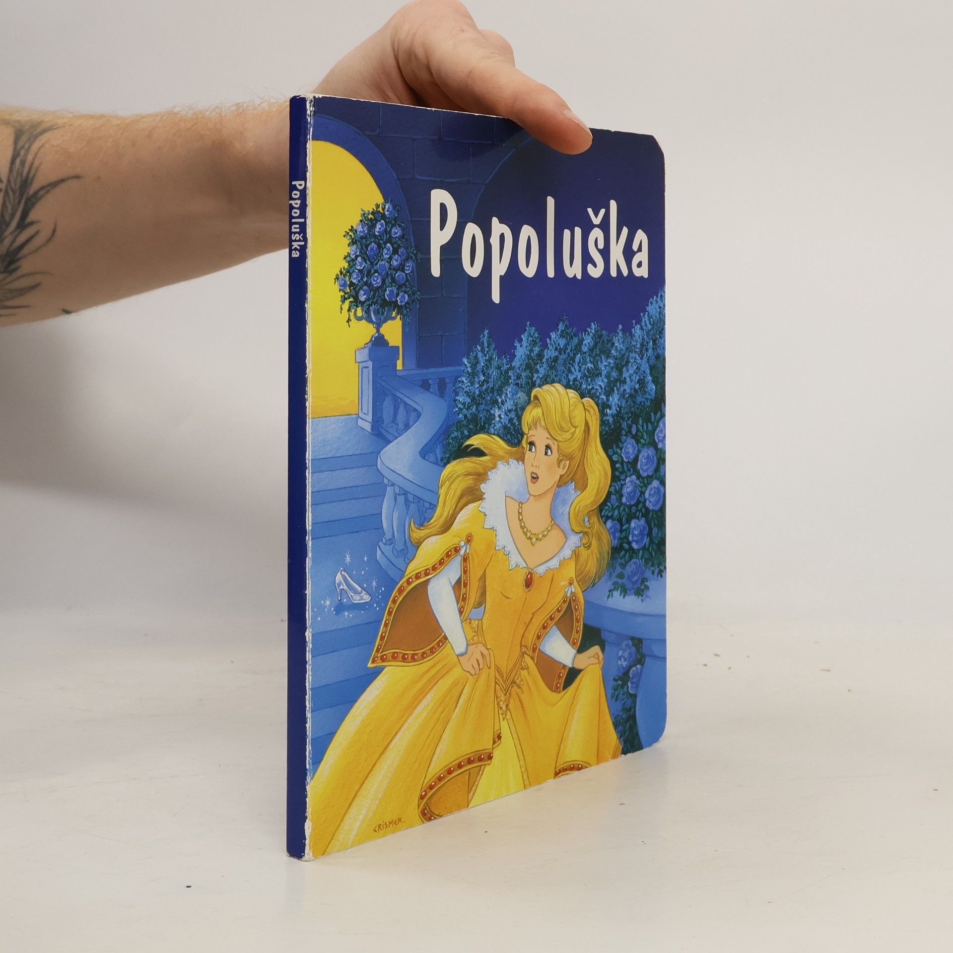 Autorenkollektiv Popoluška