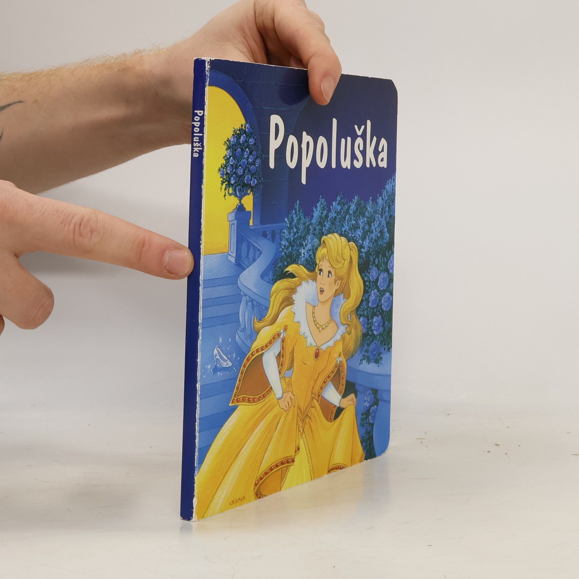 Autorenkollektiv Popoluška