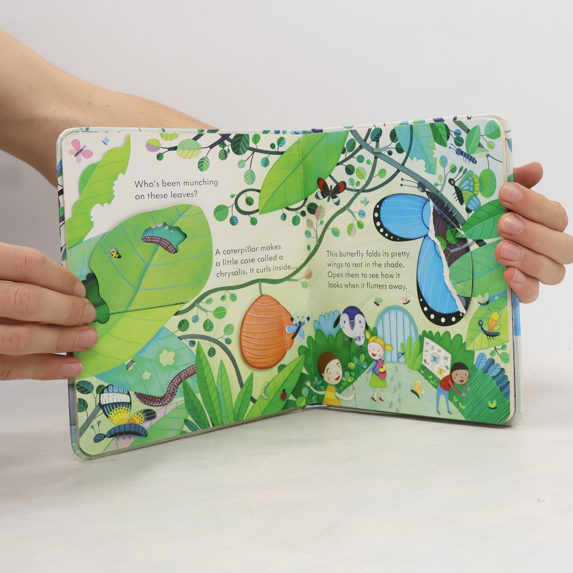 Anna Milbourne Peep Inside the Zoo