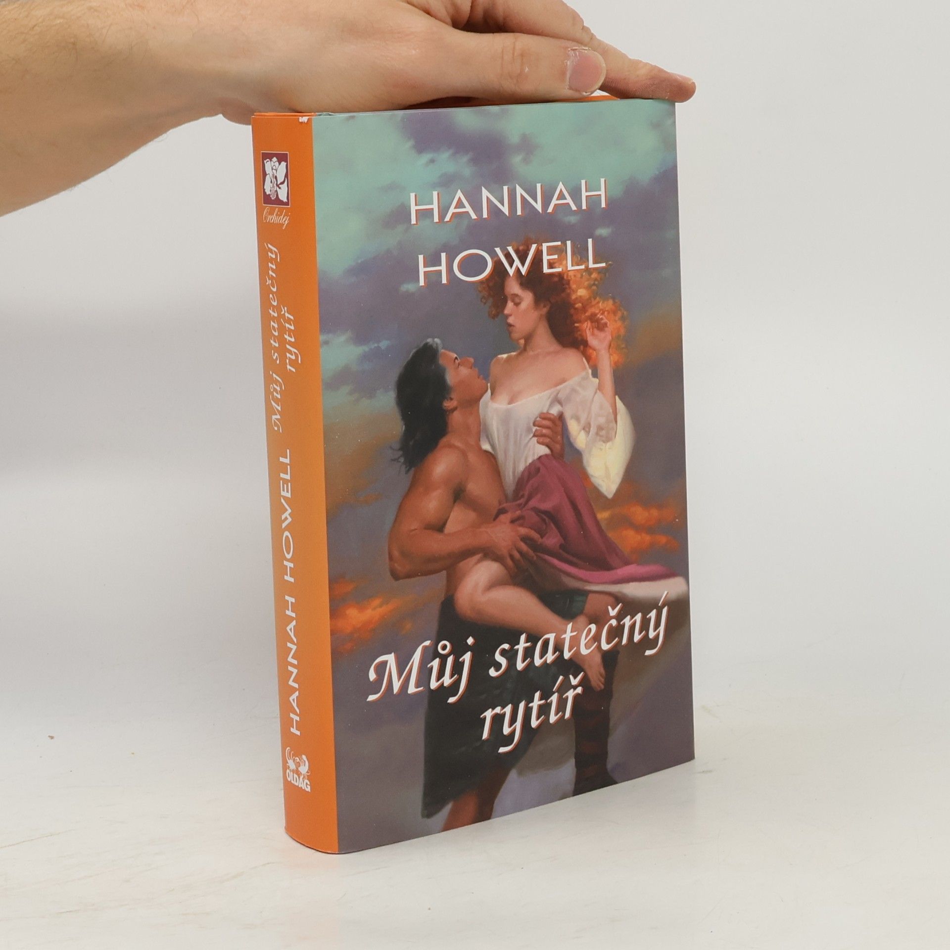 Hannah Howell Můj statečný rytíř
