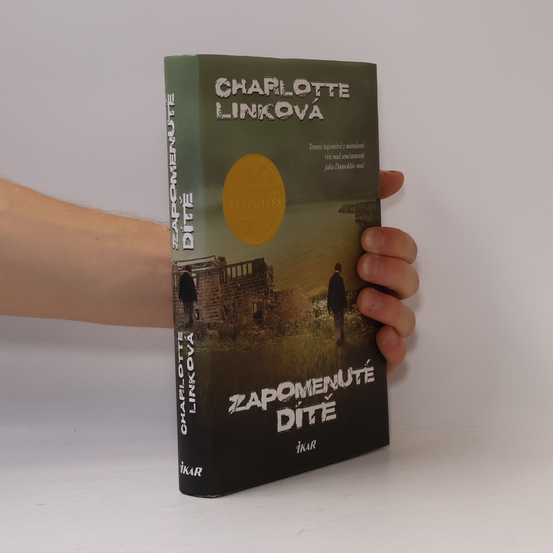 Charlotte Link Zapomenuté dítě