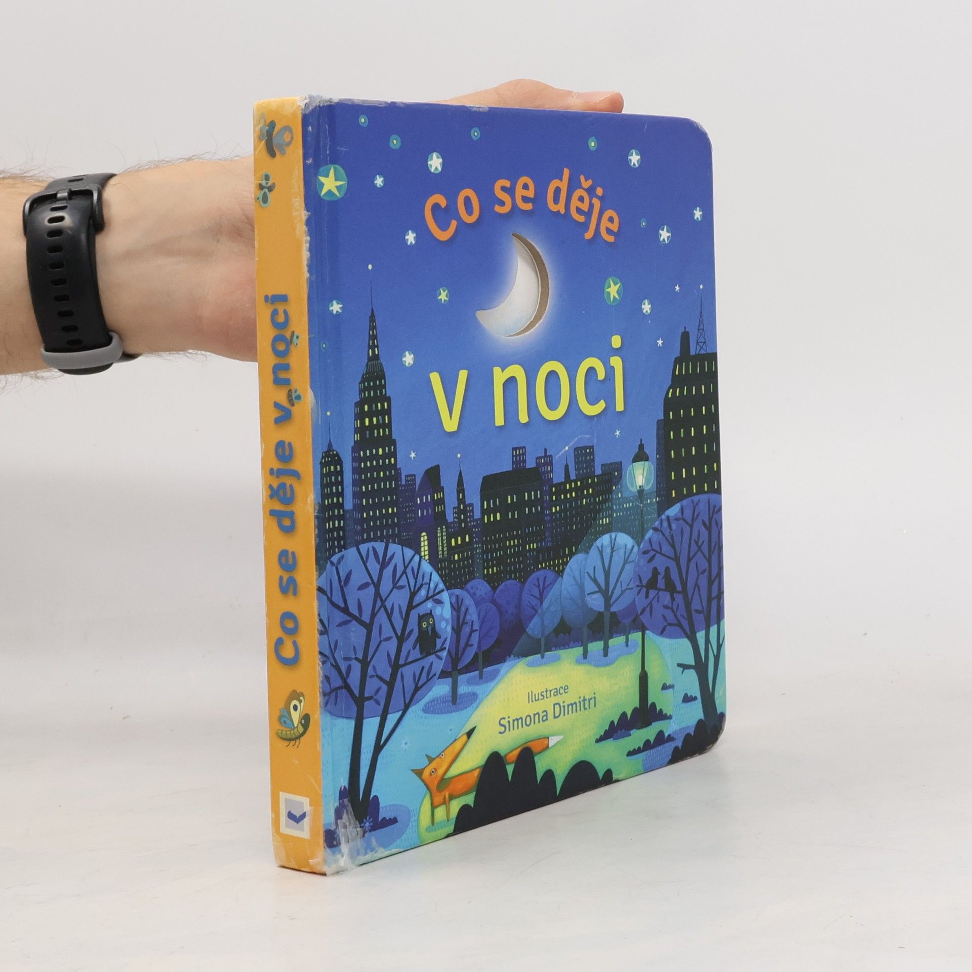 Co se děje v noci