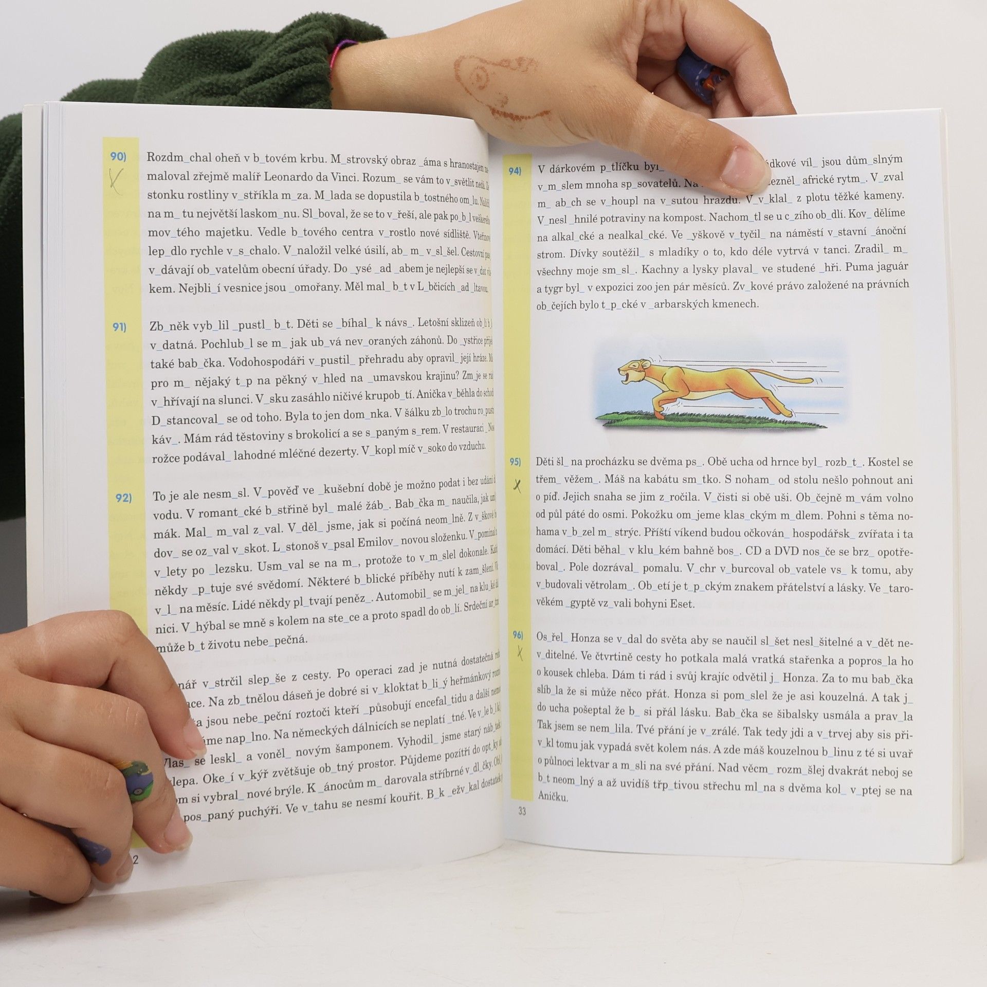 Autorenkollektiv 5. třída. Procvičujeme diktáty
