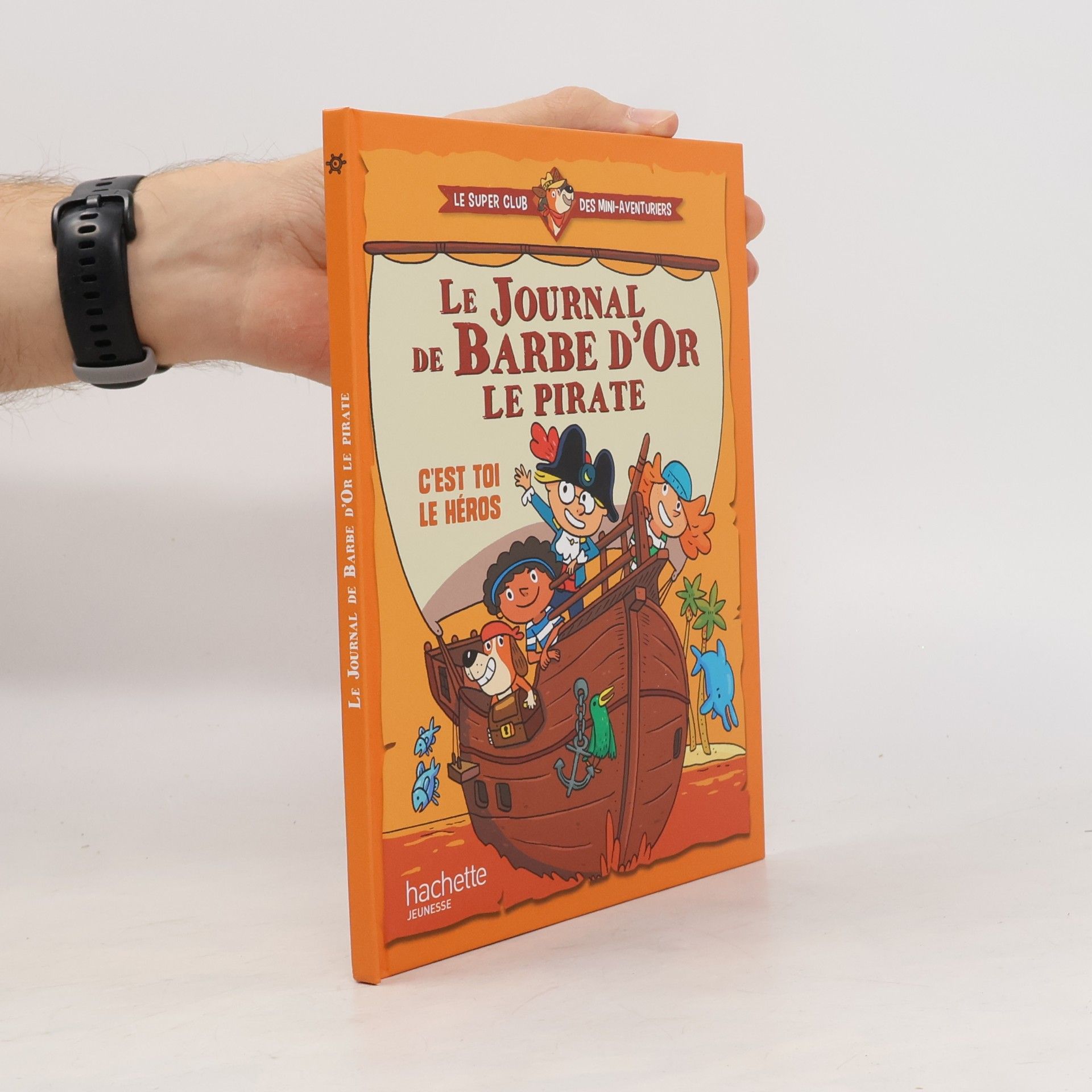 Kolektiv autorů Le journal de Barbe d´Or le pirate