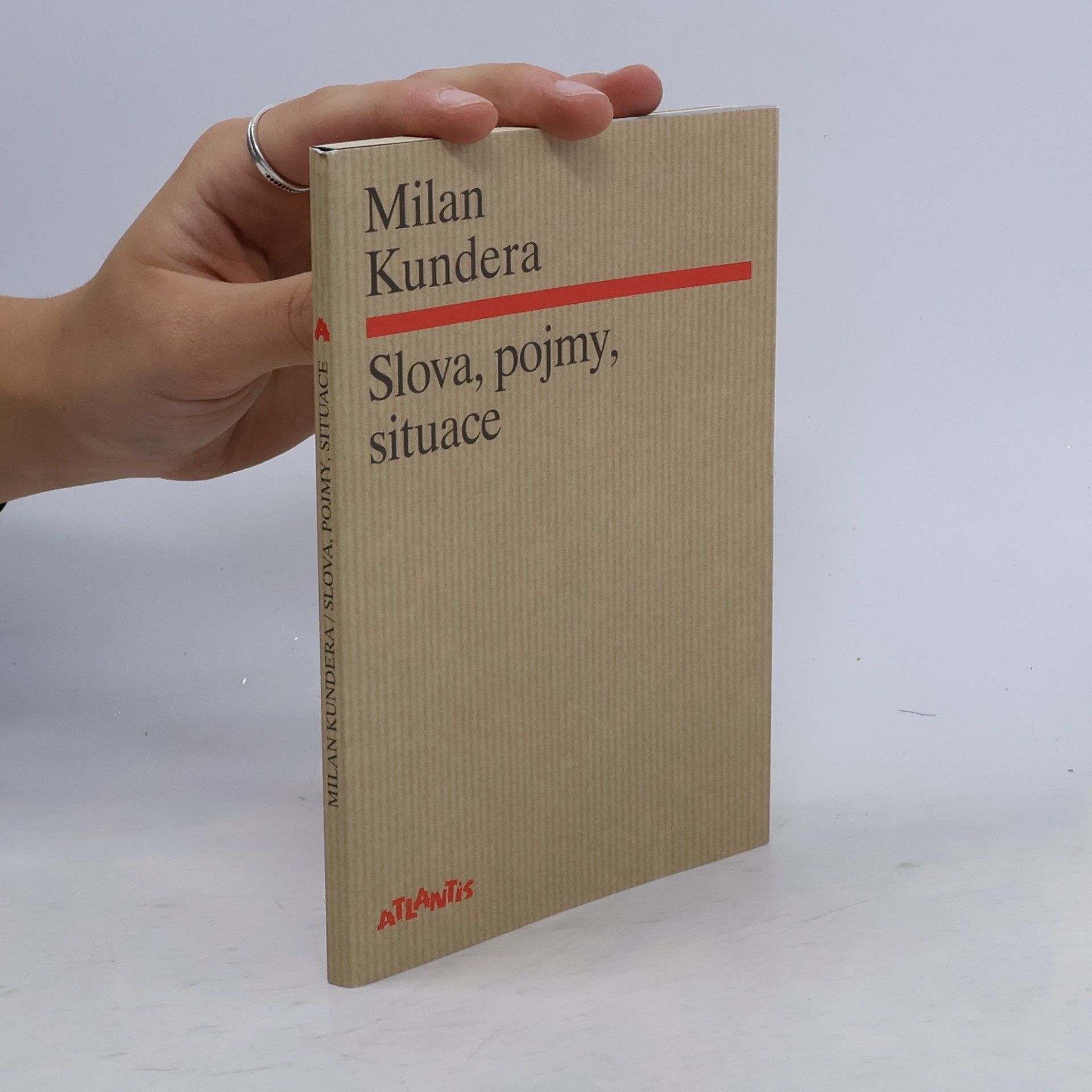 Milan Kundera Slova, pojmy, situace