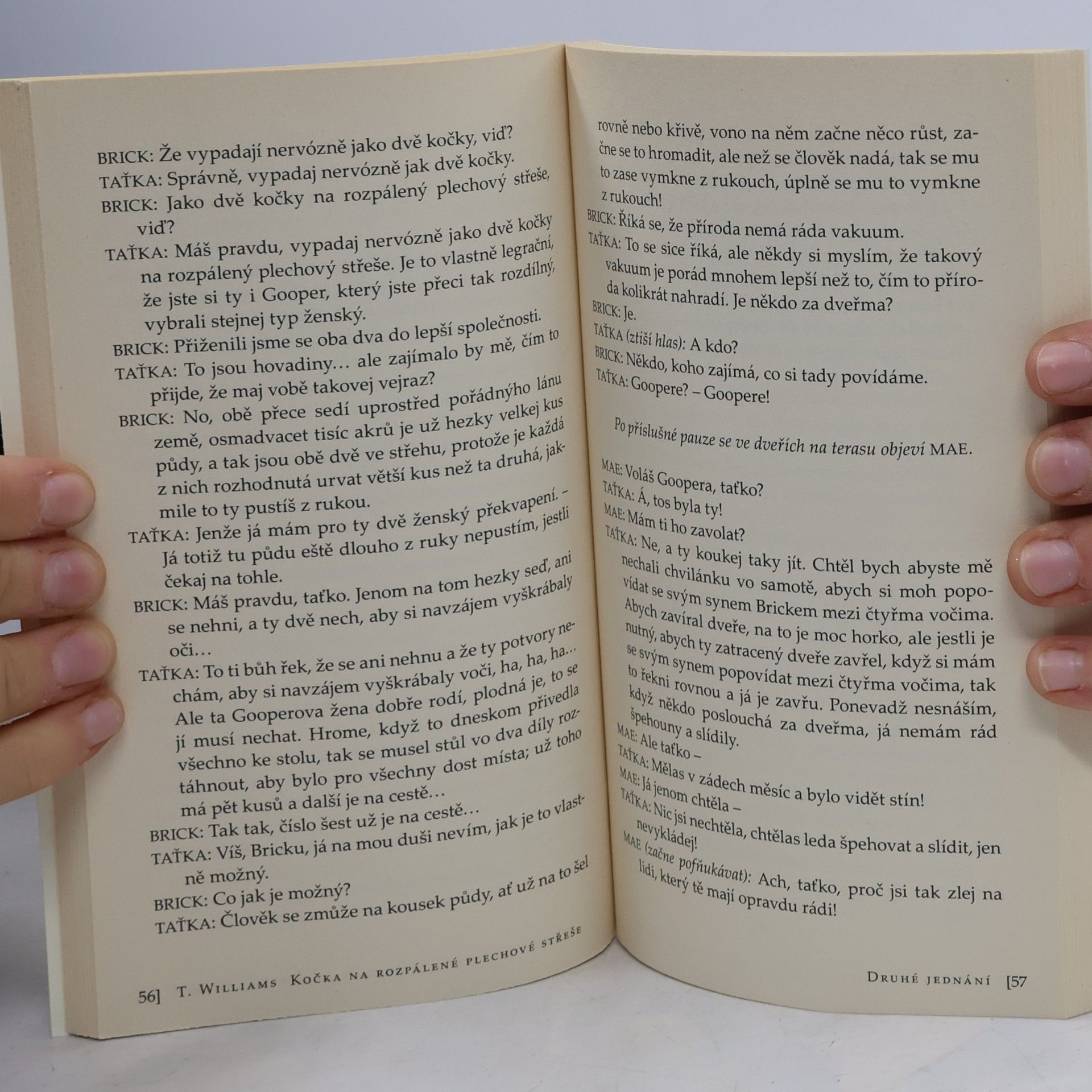 Tennessee Williams Kočka na rozpálené plechové střeše