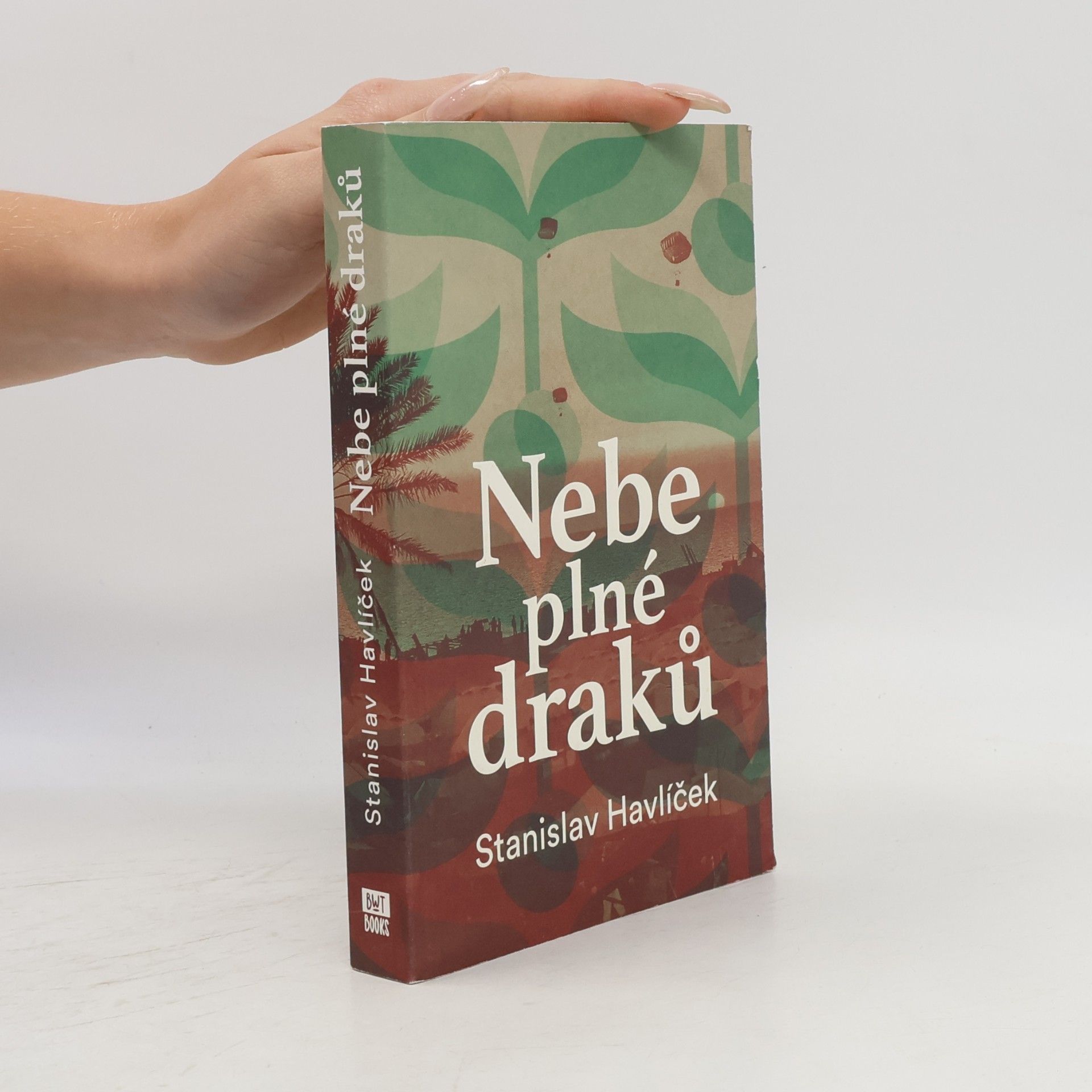 Stanislav Havlíček Nebe plné draků