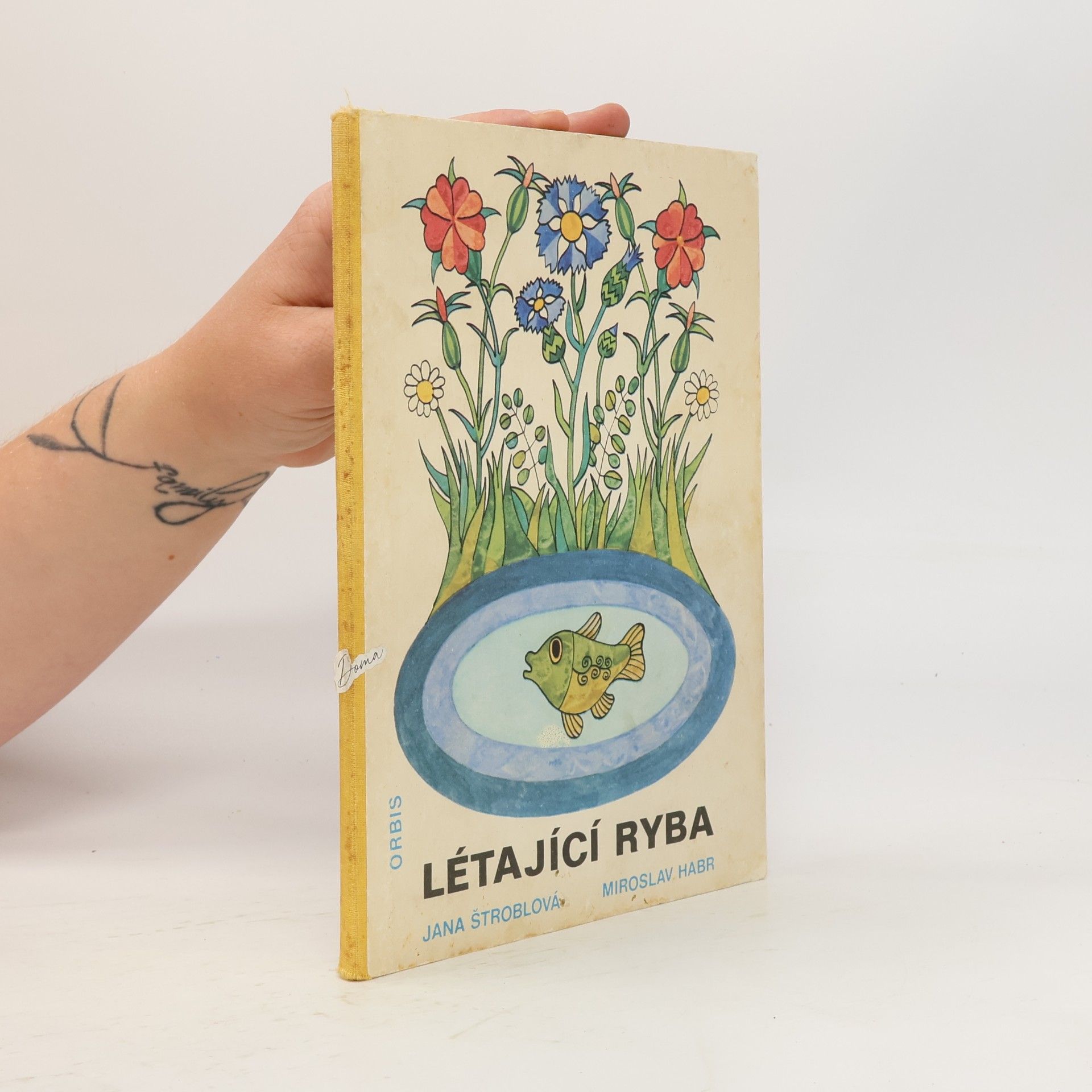 Jana Štroblová Létající ryba