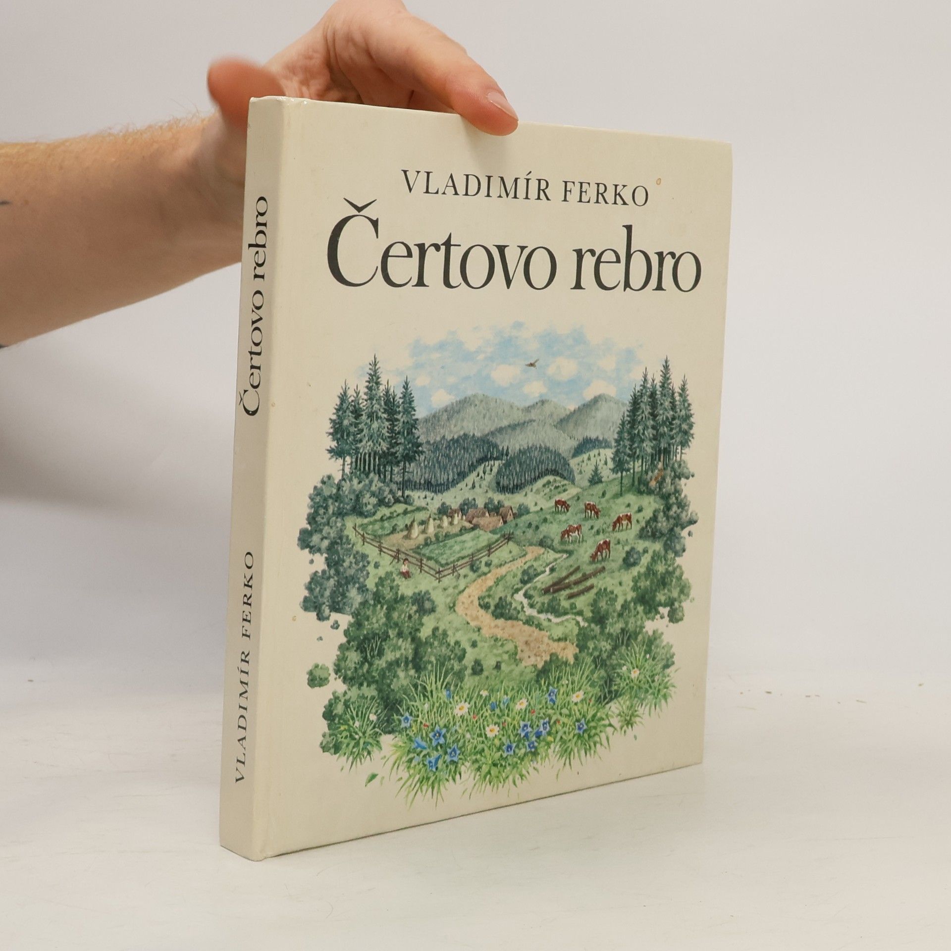 Vladimír Ferko Čertovo rebro