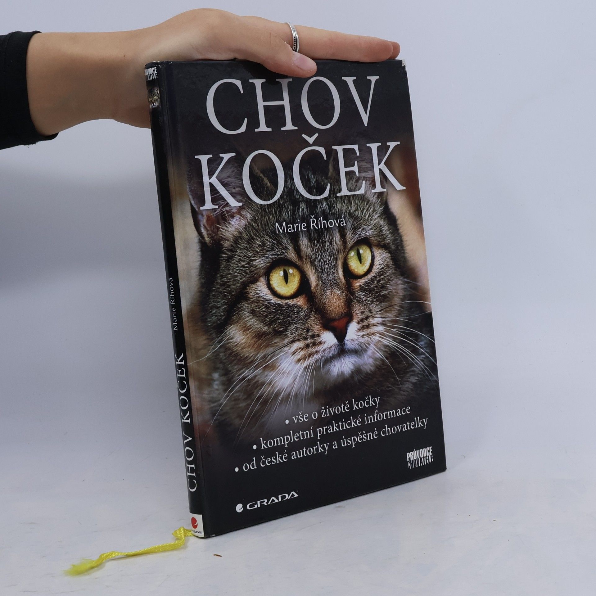 Chov koček