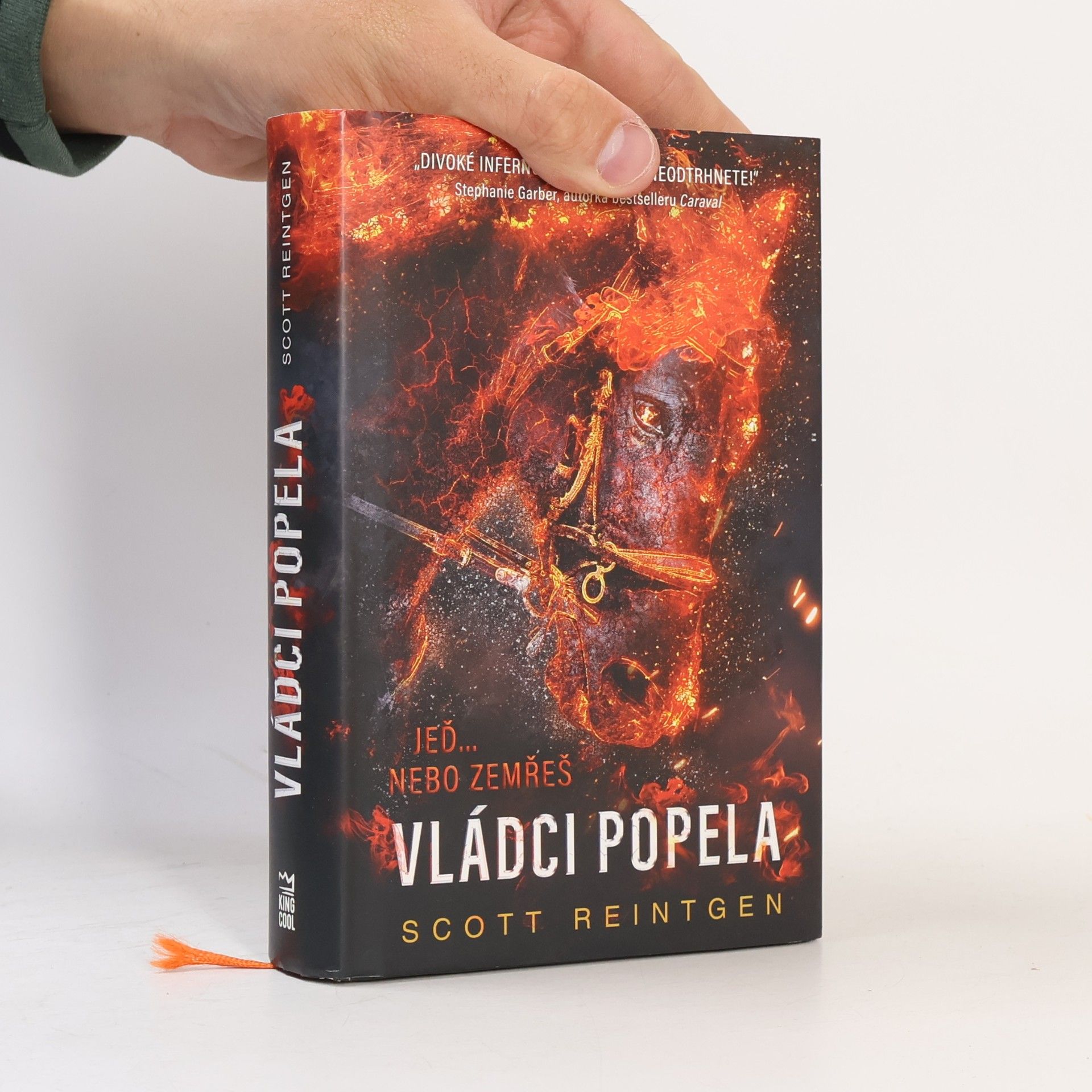 Vládci popela