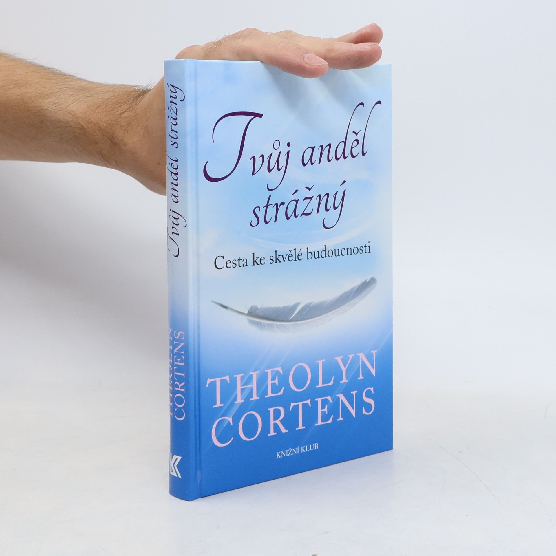Tvůj anděl strážný: Cesta ke skvělé budoucnosti