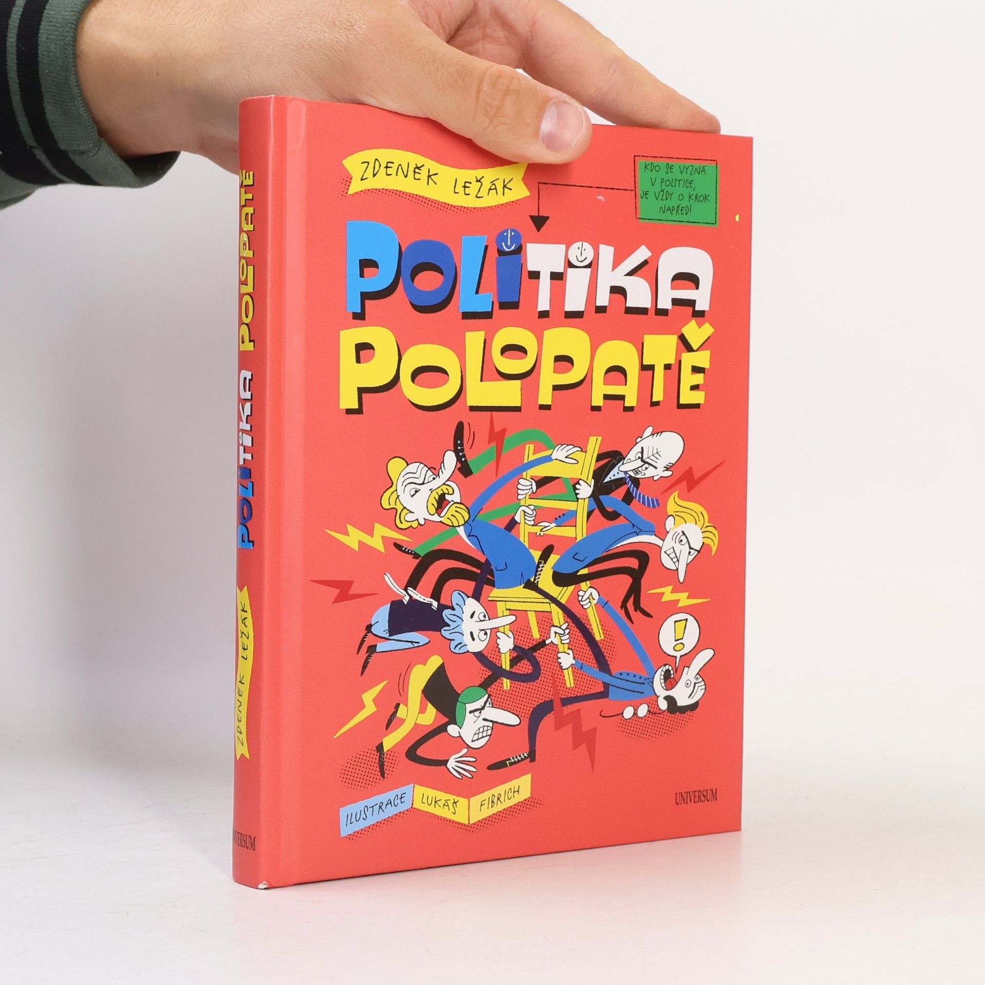 Politika polopatě