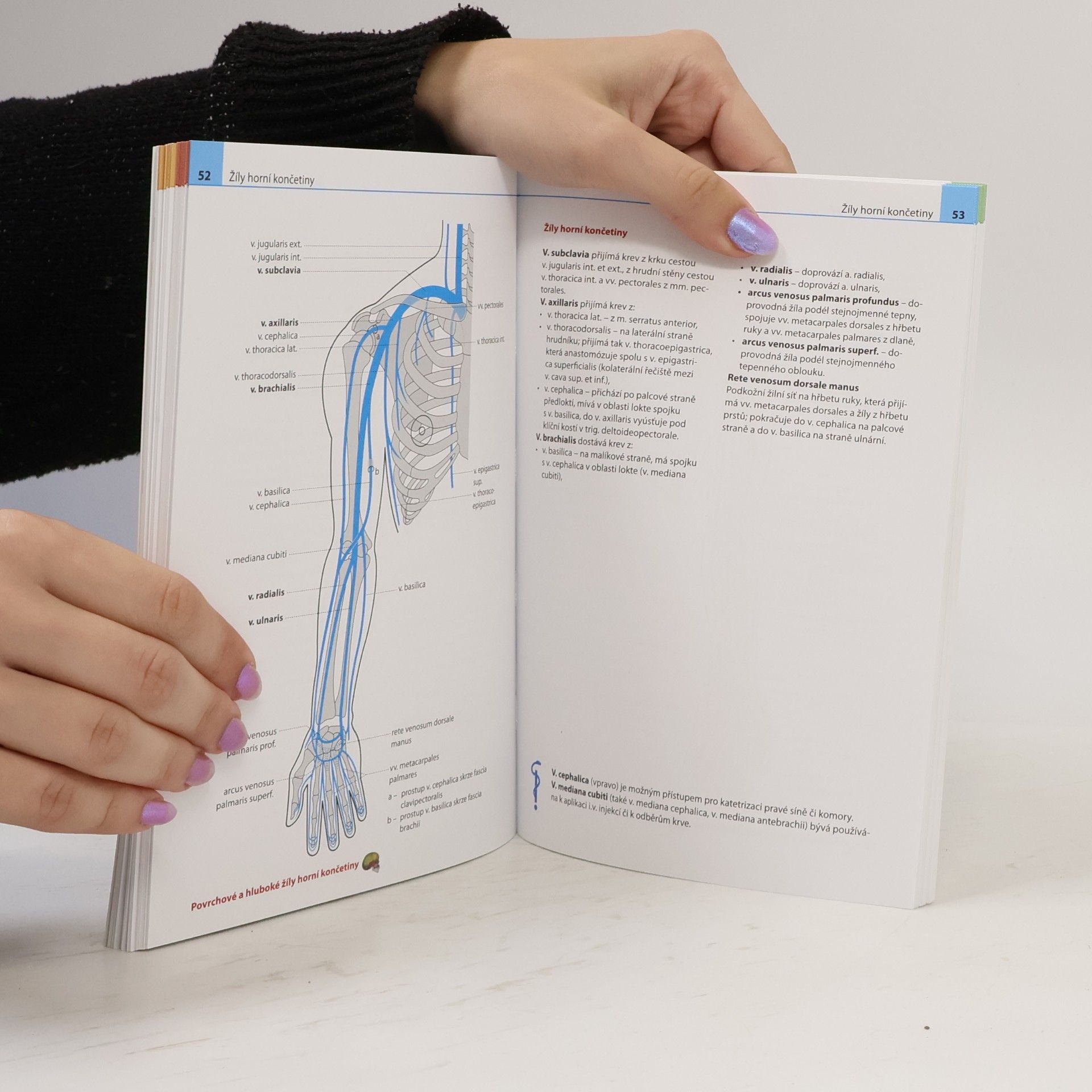 Ondřej Naňka Anatomie v přehledech a schématech