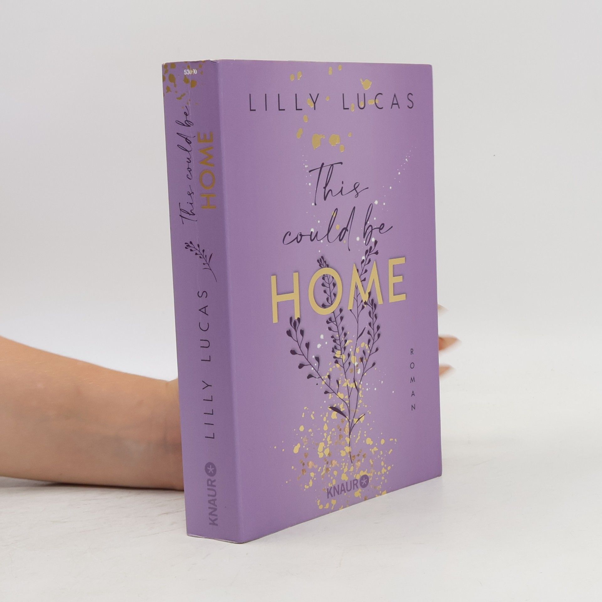 Lilly Lucas This could be home / Hawaii Love Bd.2