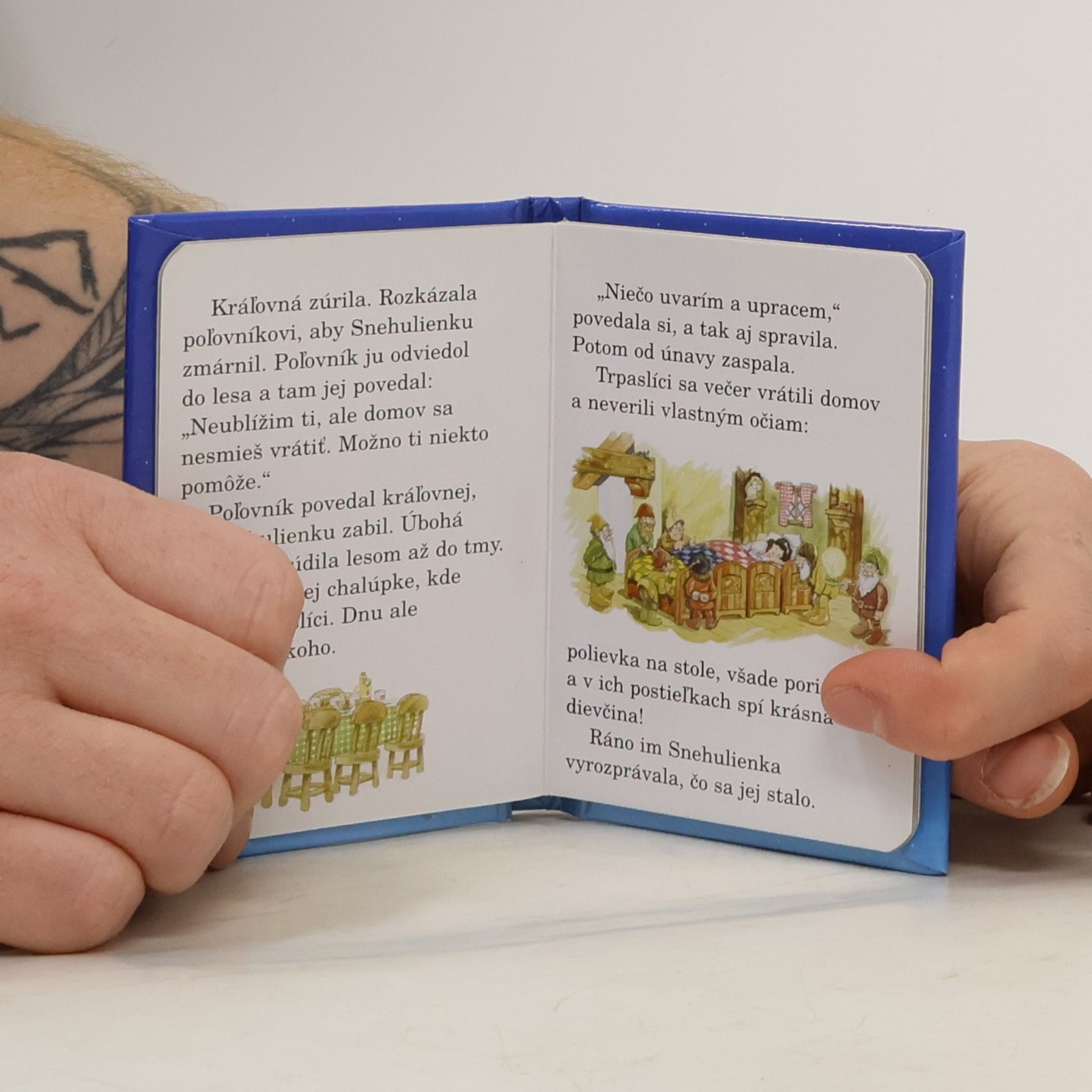 Autorenkollektiv Snehulienka a sedem trpaslíkov