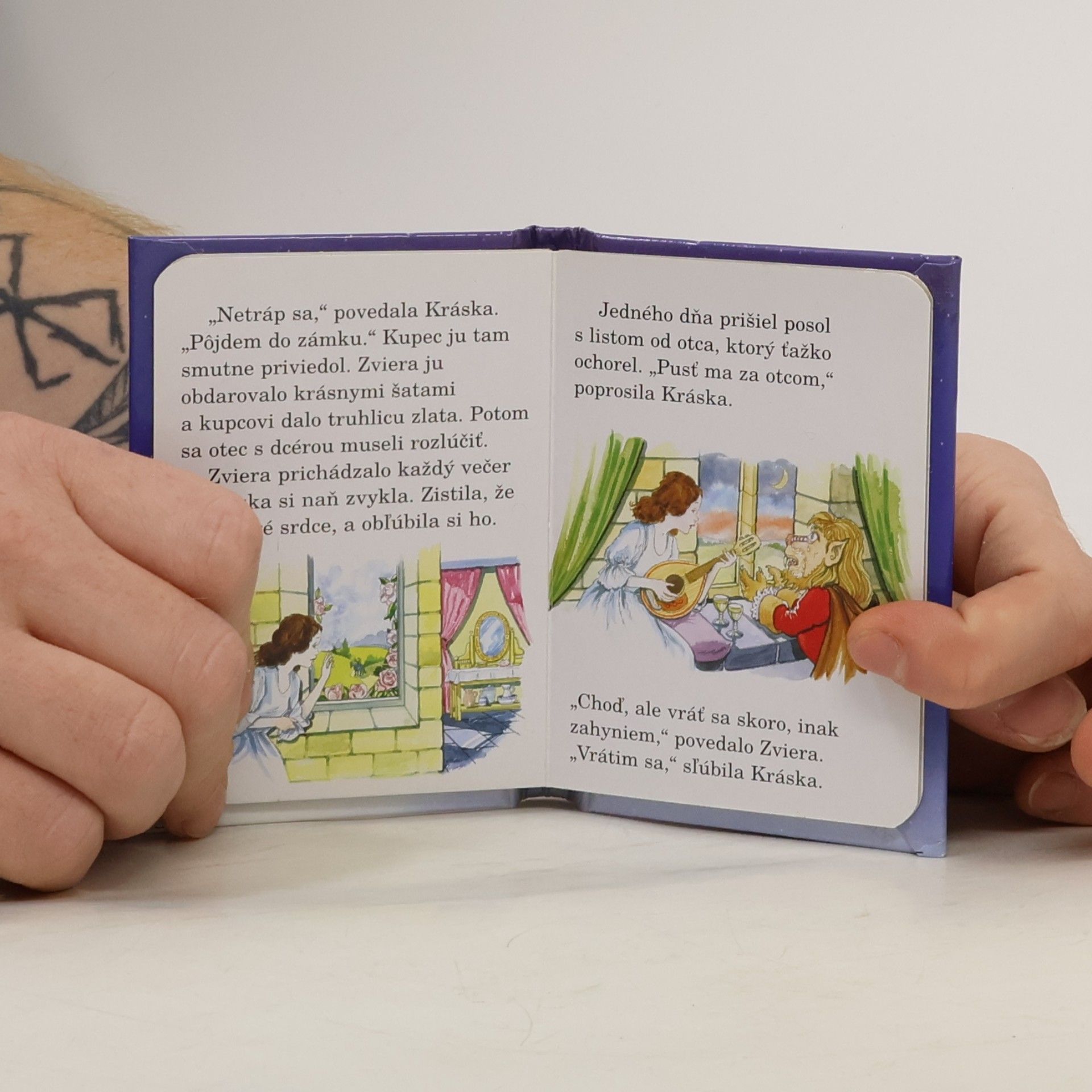 Autorenkollektiv Kráska a zviera