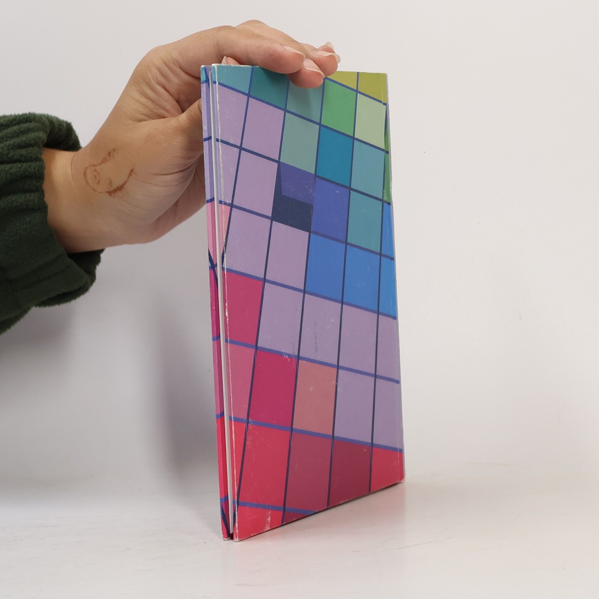 Pavel Kočička Color Management System