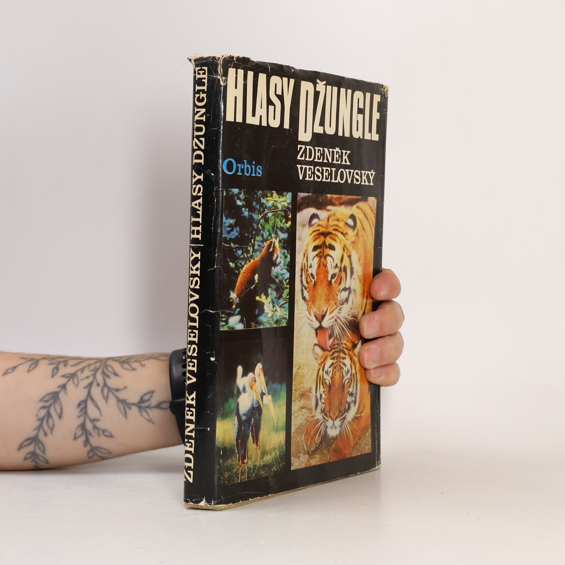 Hlasy džungle