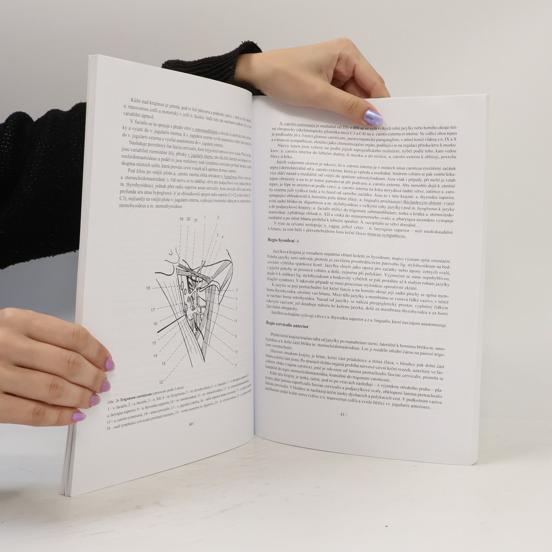 Jaroslav Kos Přehled topografické anatomie