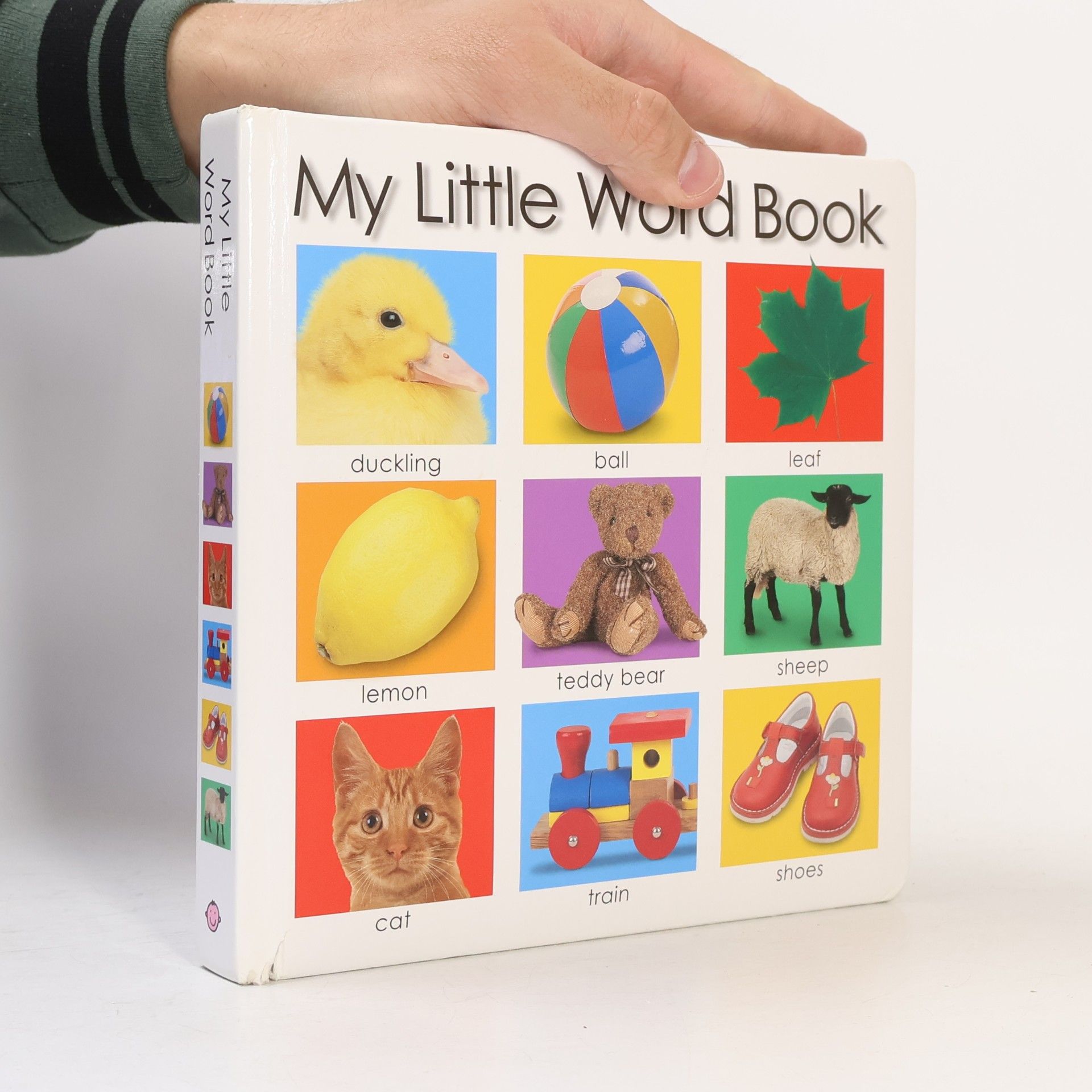 Roger Priddy My Little Word Book