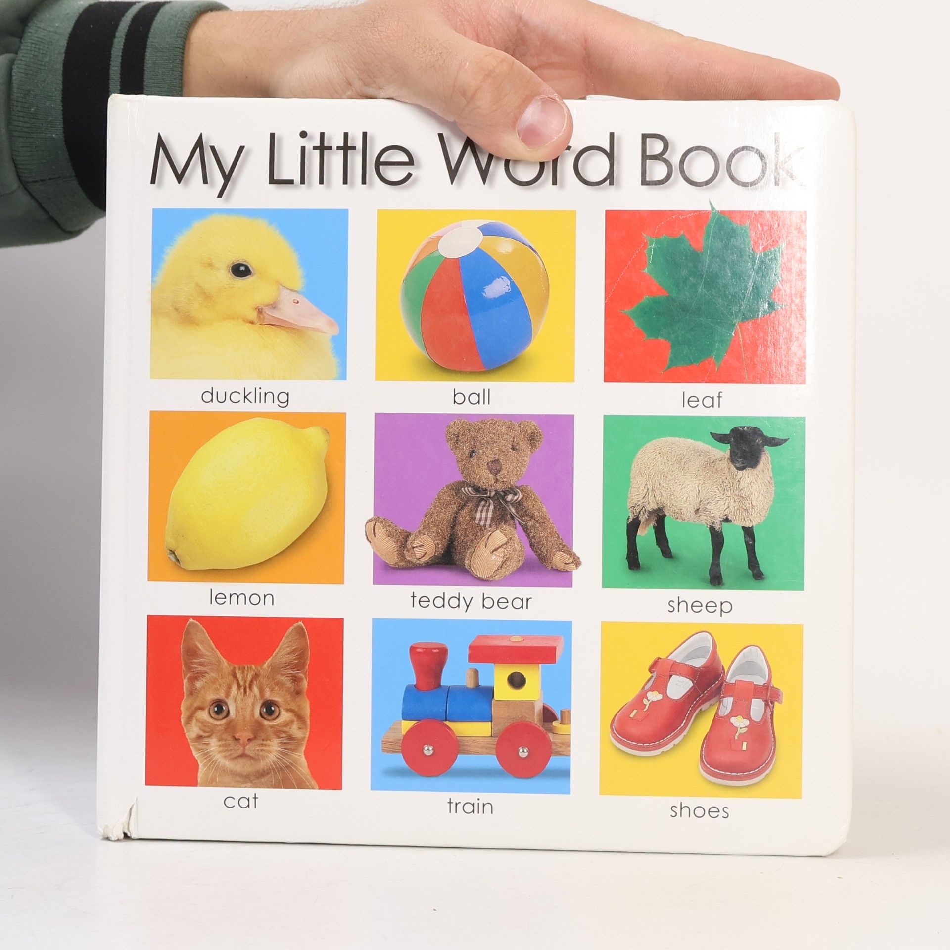 Roger Priddy My Little Word Book