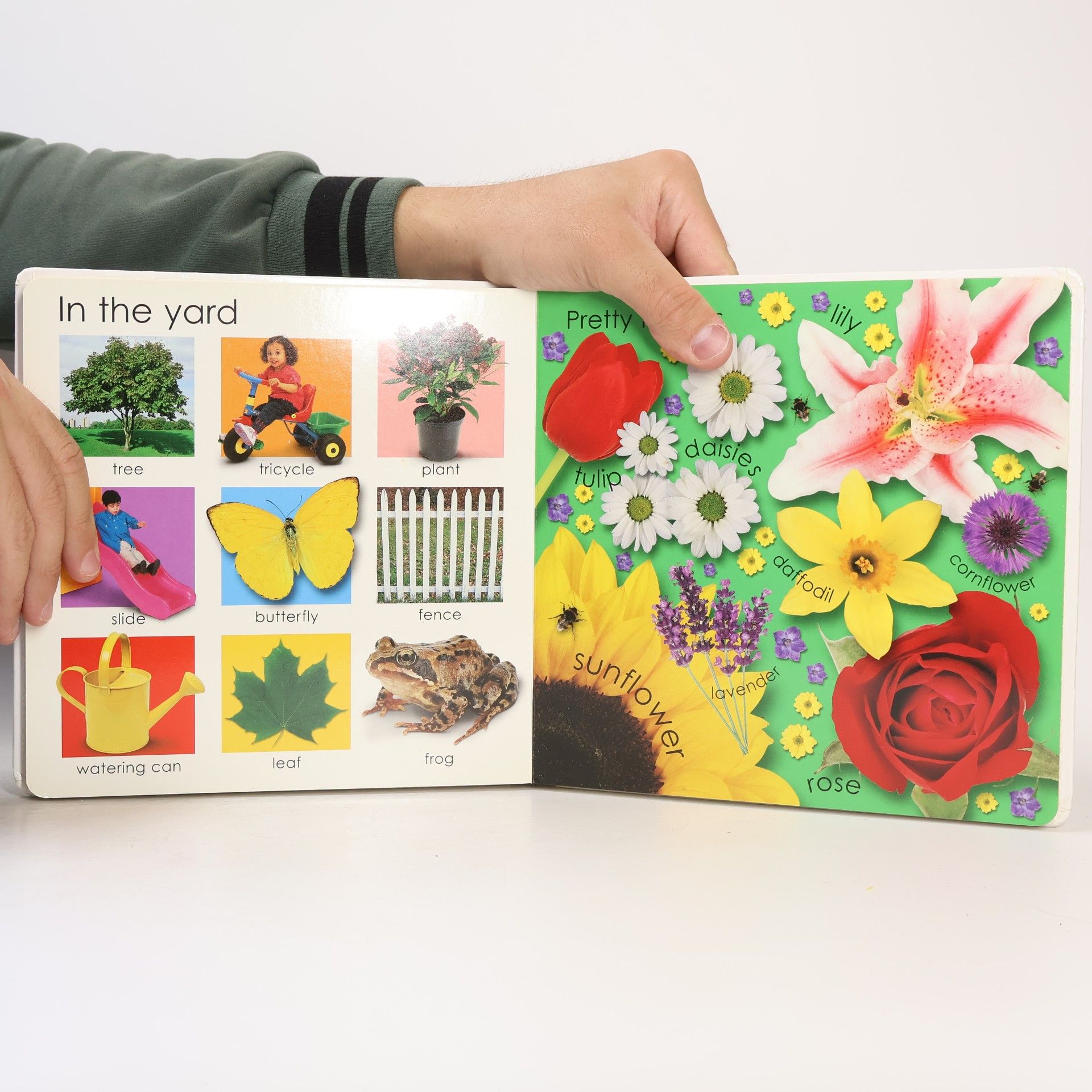Roger Priddy My Little Word Book