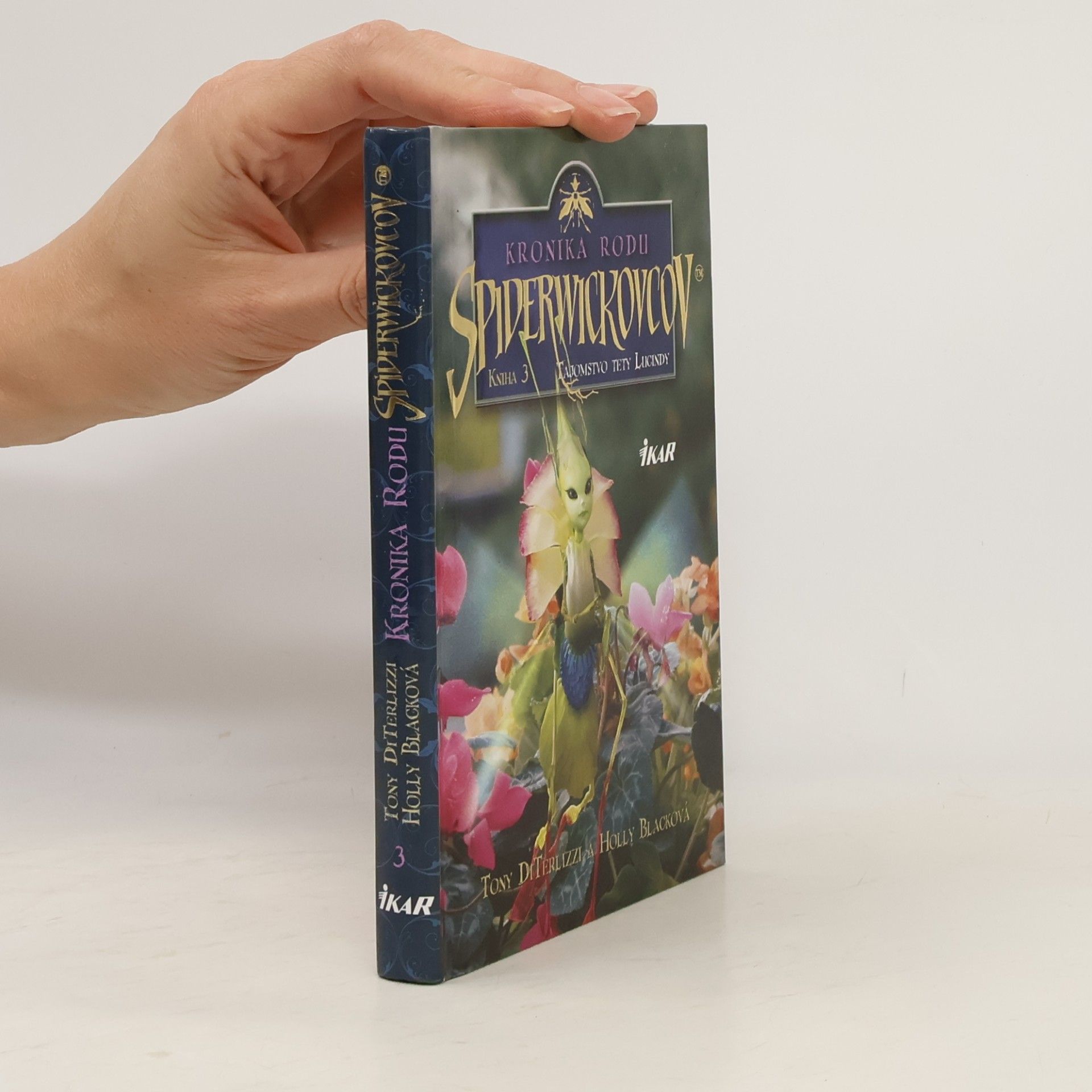 Tony DiTerlizzi Tajomstvo tety Lucindy