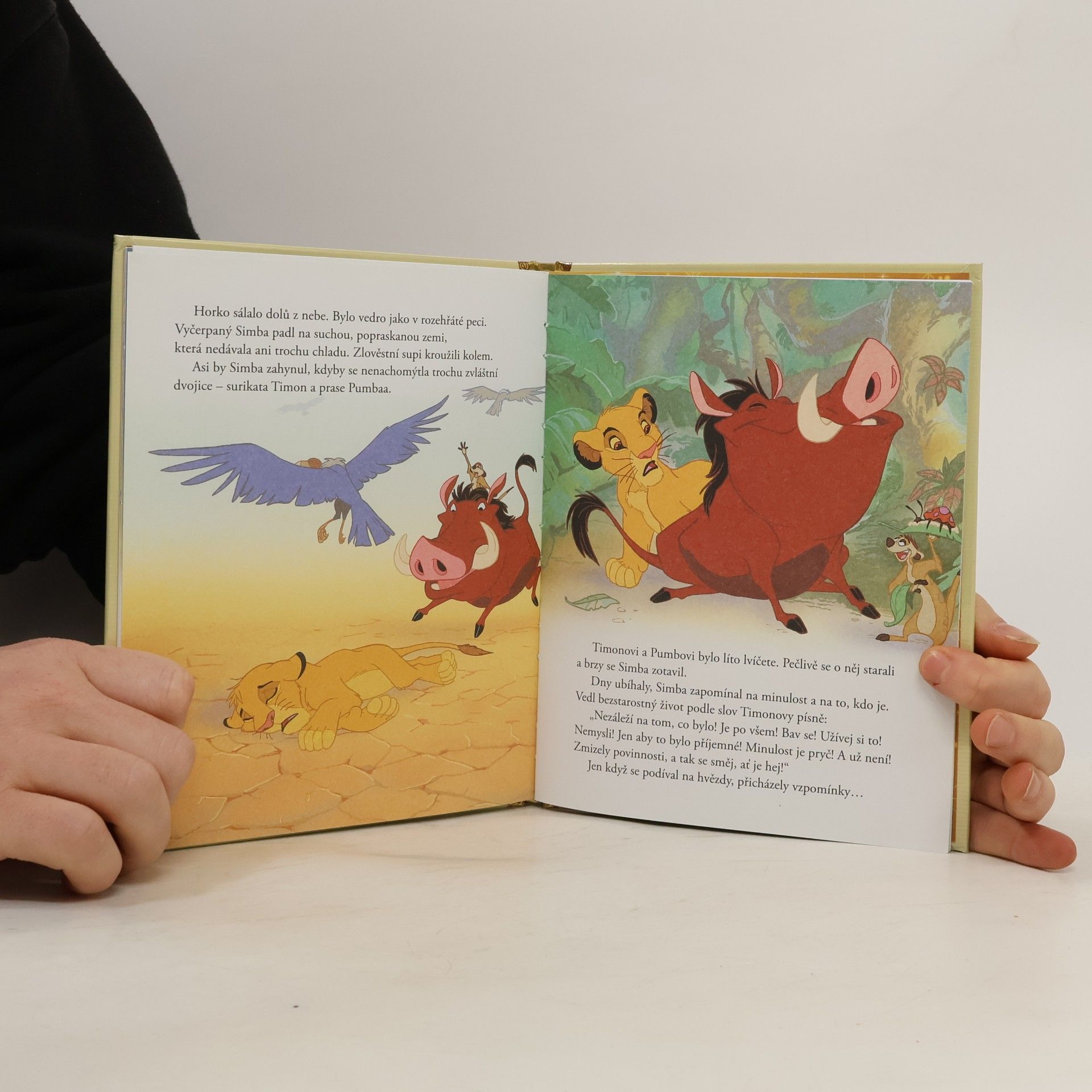 Autorenkollektiv Zlatá sbírka pohádek 1. Lví král