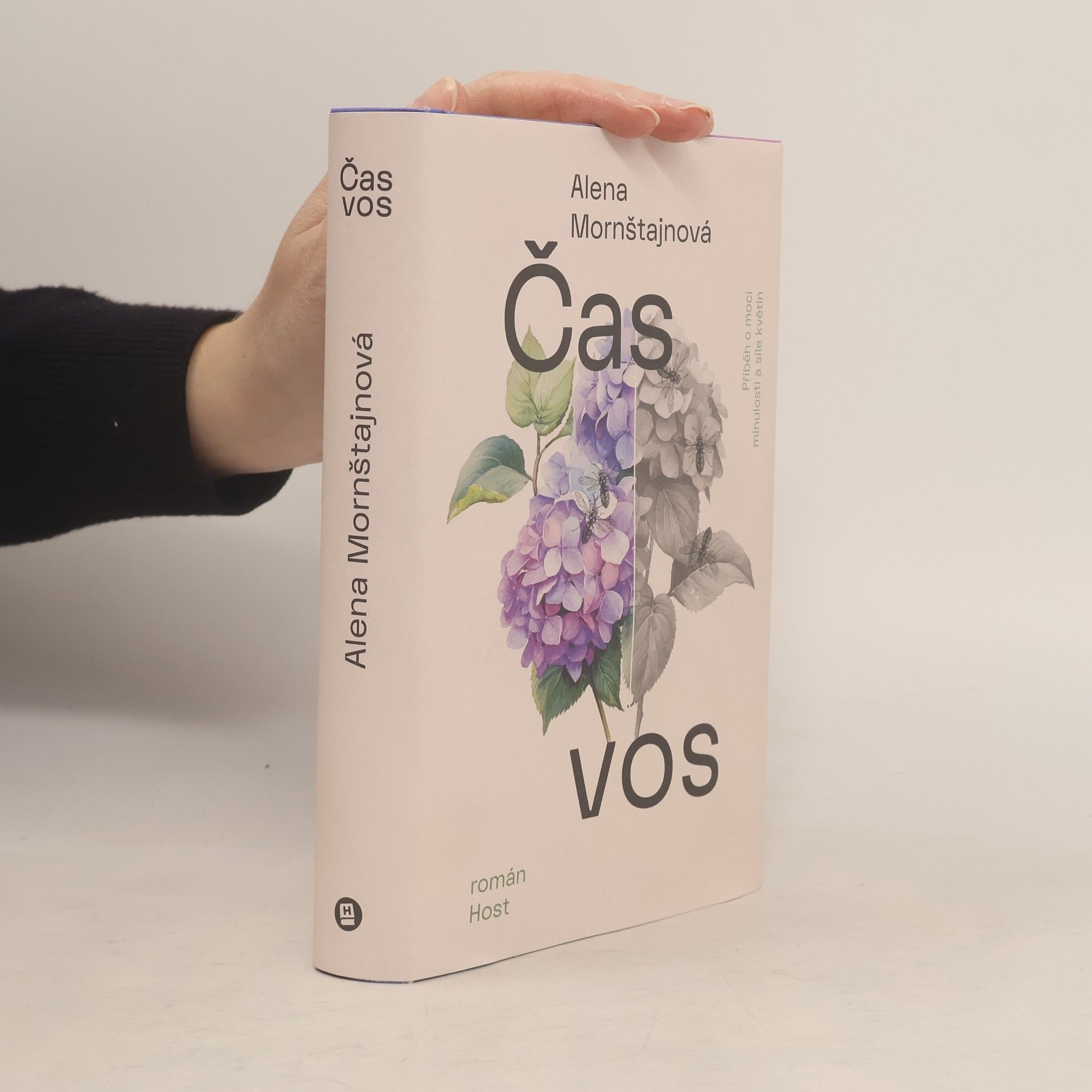 Čas vos
