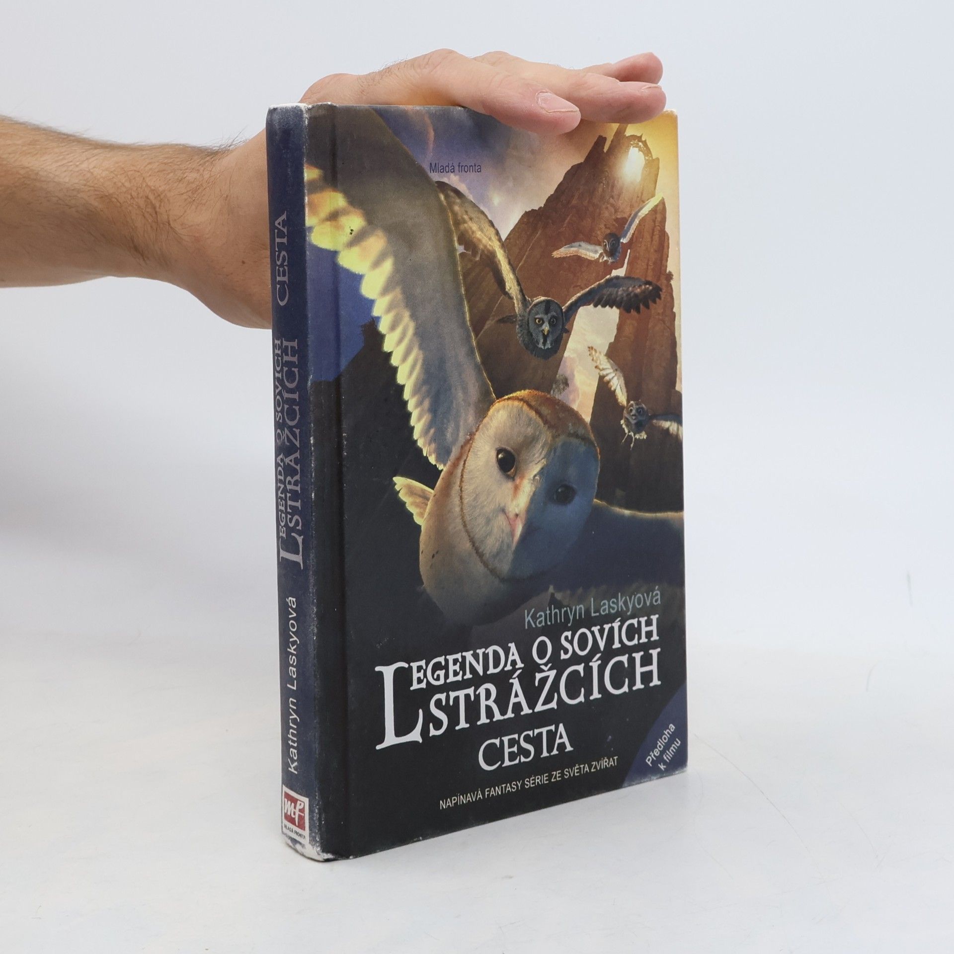 Legenda o sovích strážcích. II., Cesta