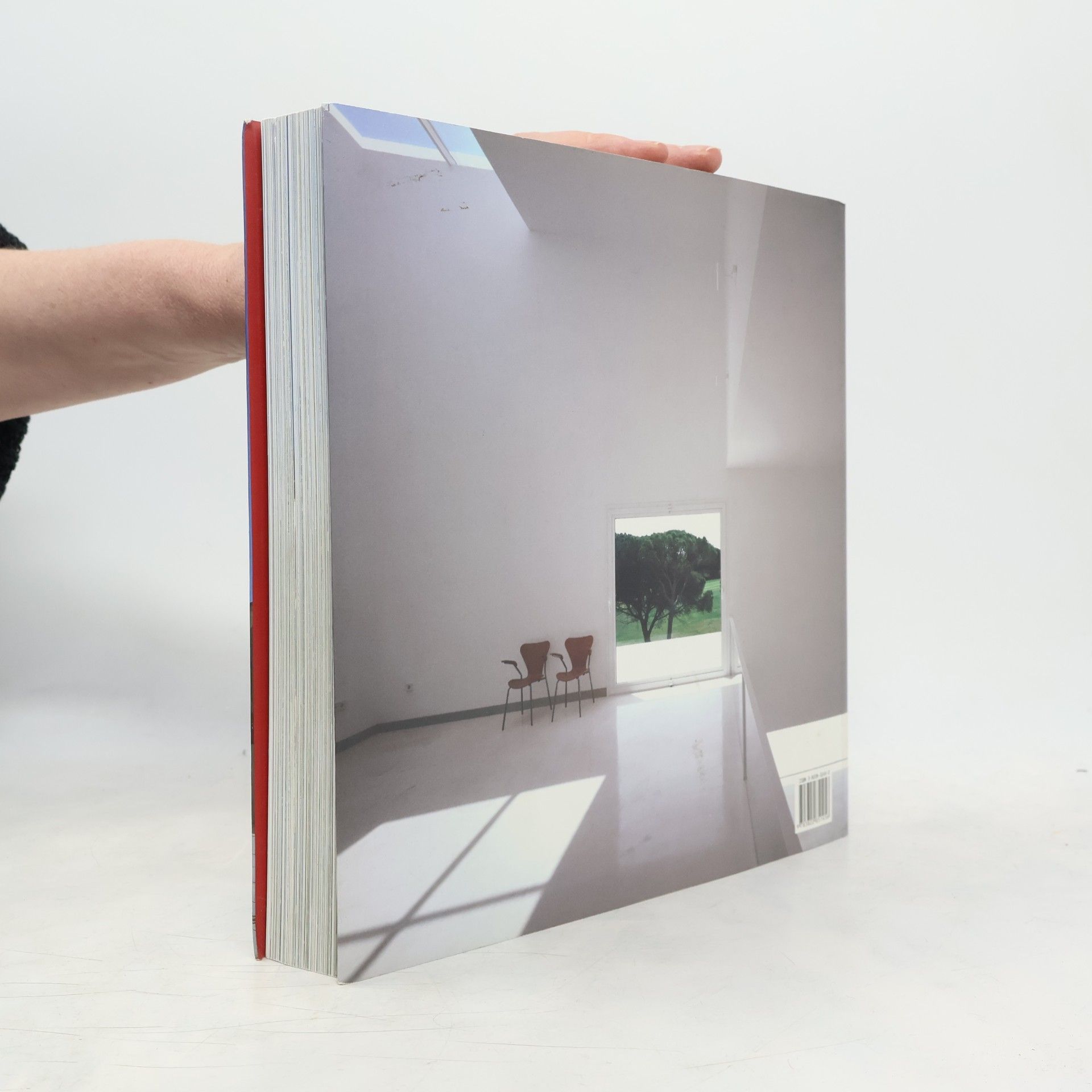 Simone Schleifer Minimalist houses