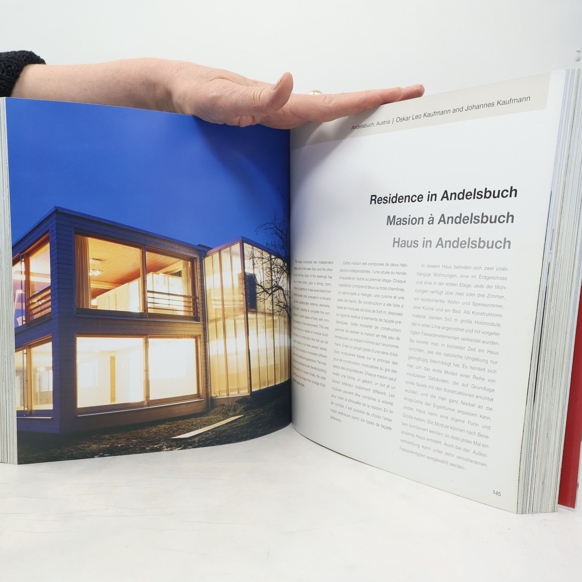 Simone Schleifer Minimalist houses