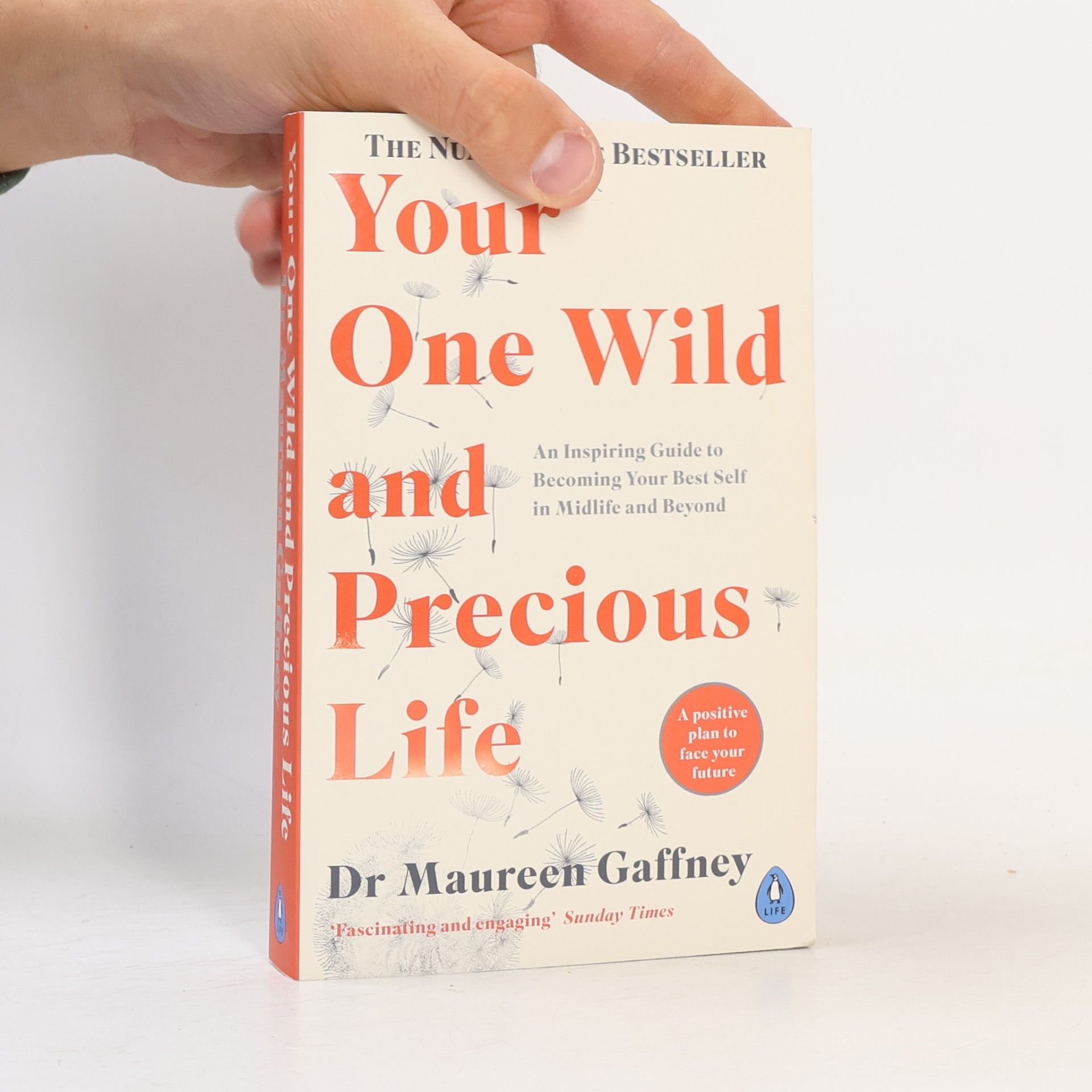 Maureen Gaffney Your One Wild and Precious Life