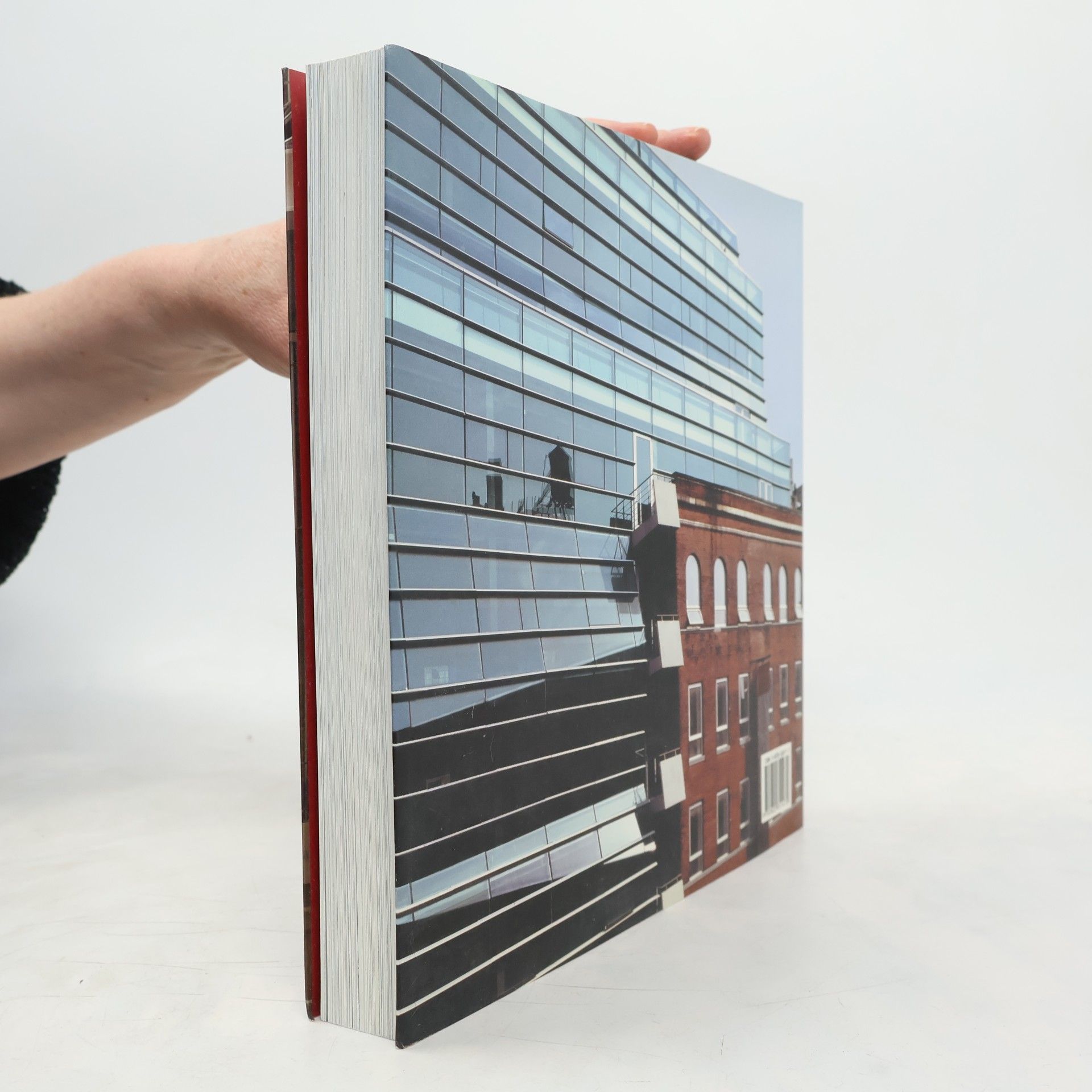 Simone Schleifer Converted spaces