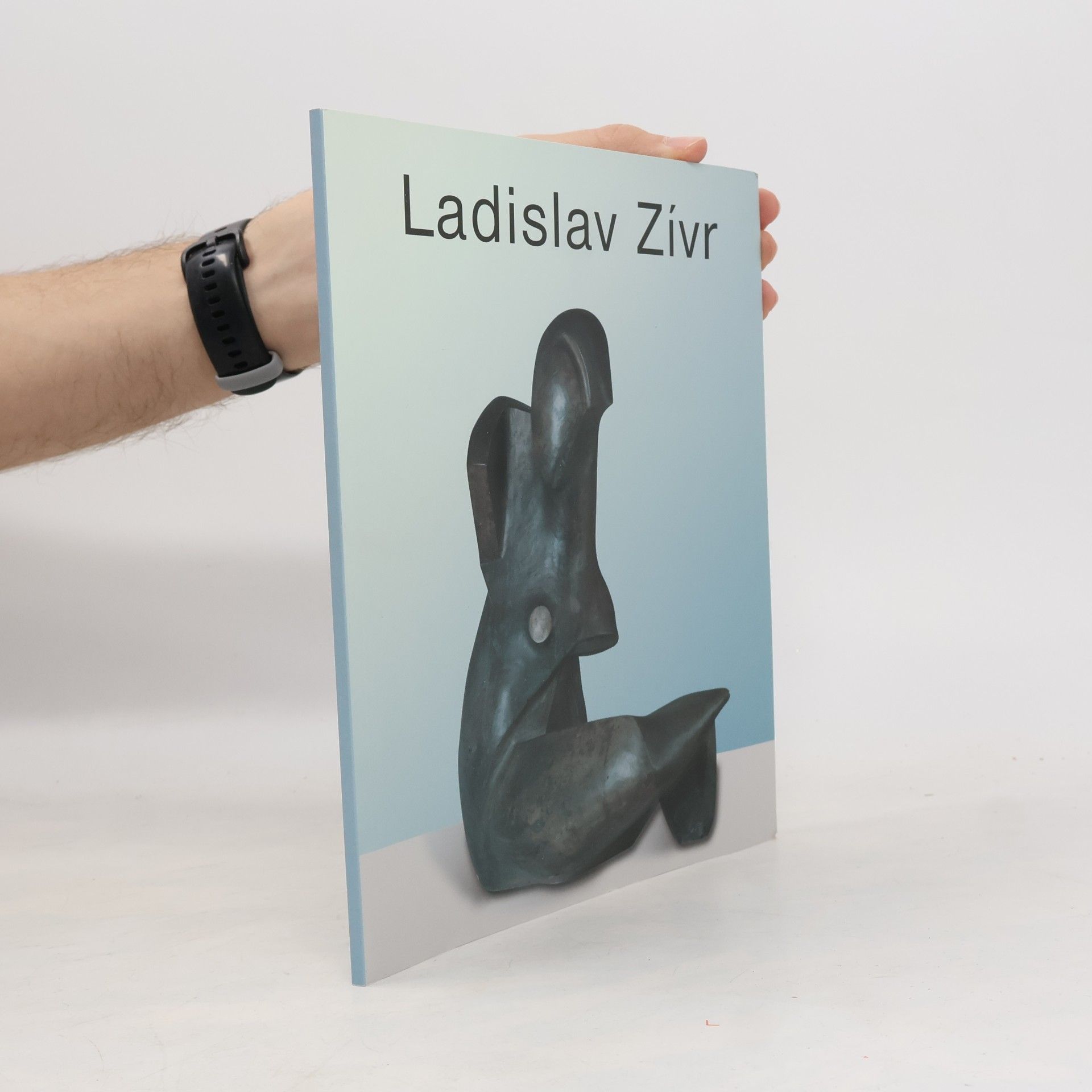 Kolektiv autorů Ladislav Zívr. Výběr ze sochařské tvorby