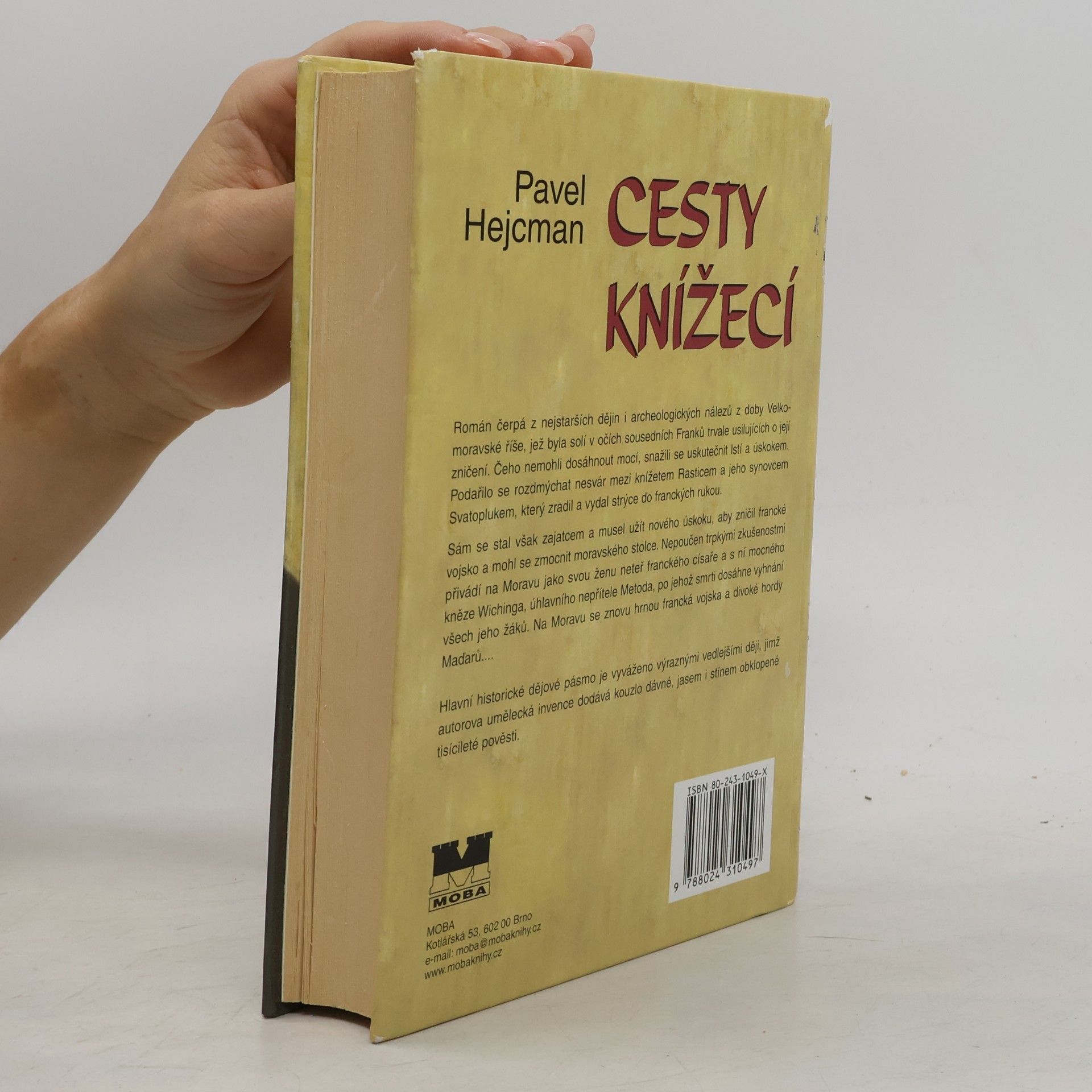 Pavel Hejcman Cesty knížecí