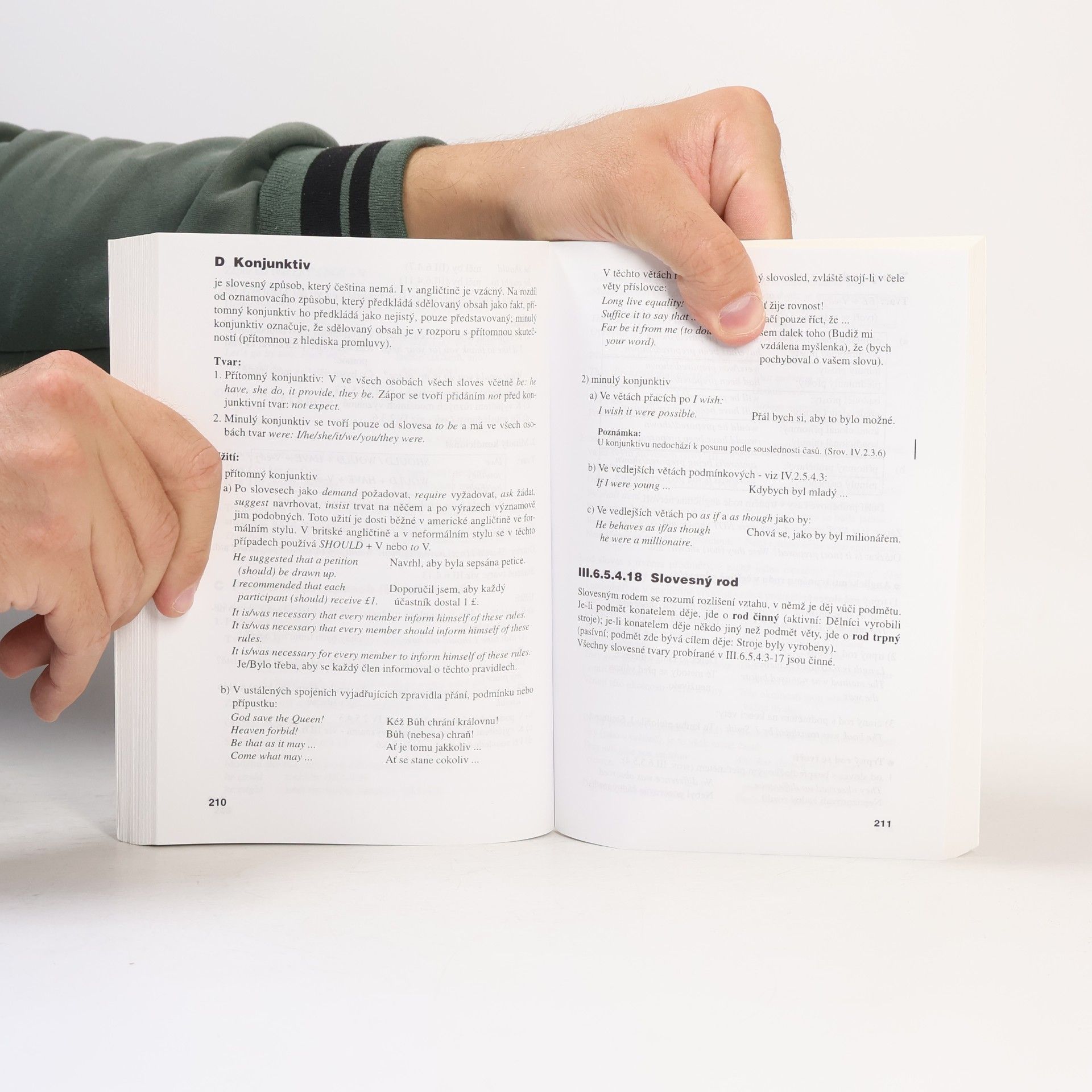 Strnadová Zdenka Mluvnice angličtiny. Professional English Grammar Book