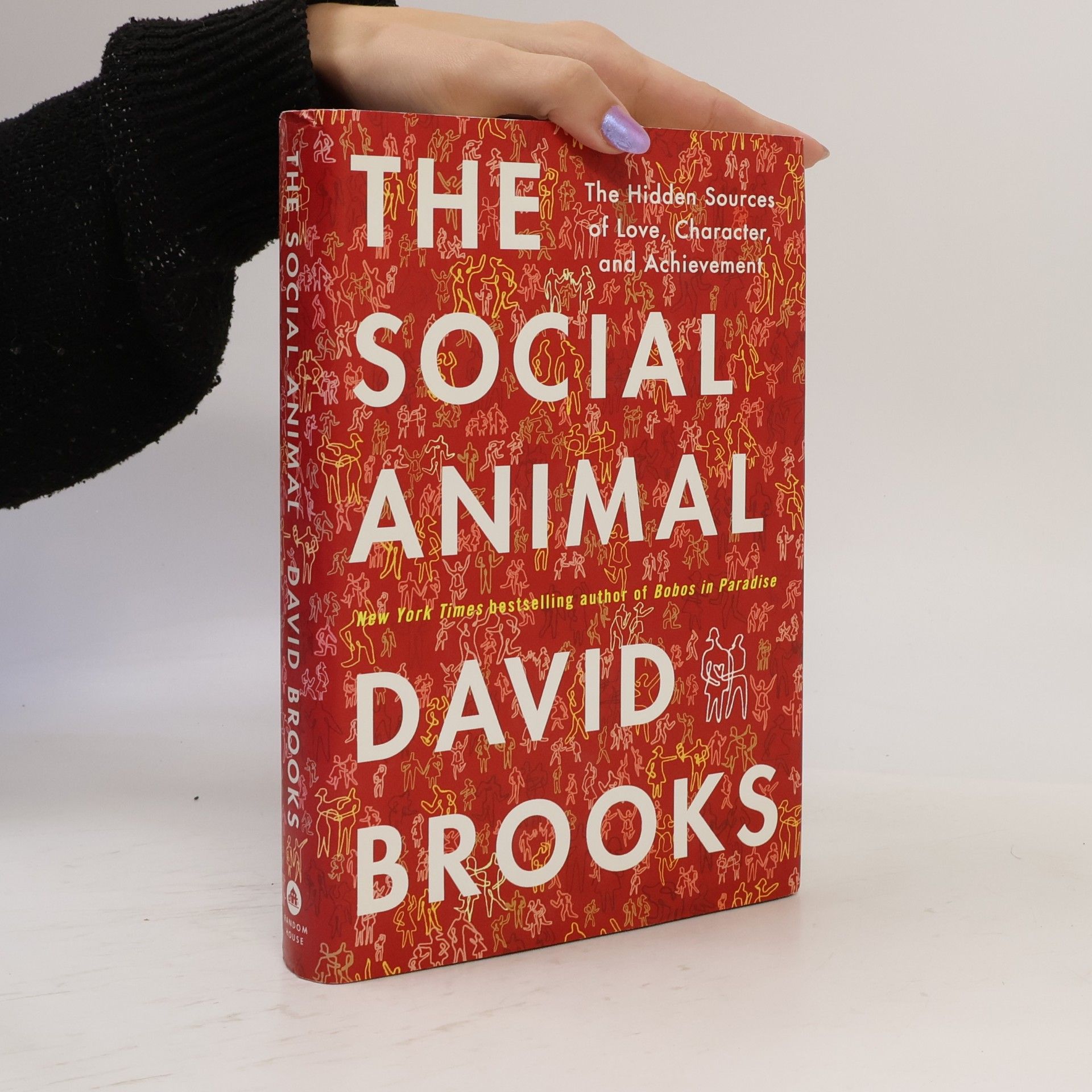 David Brooks The Social Animal