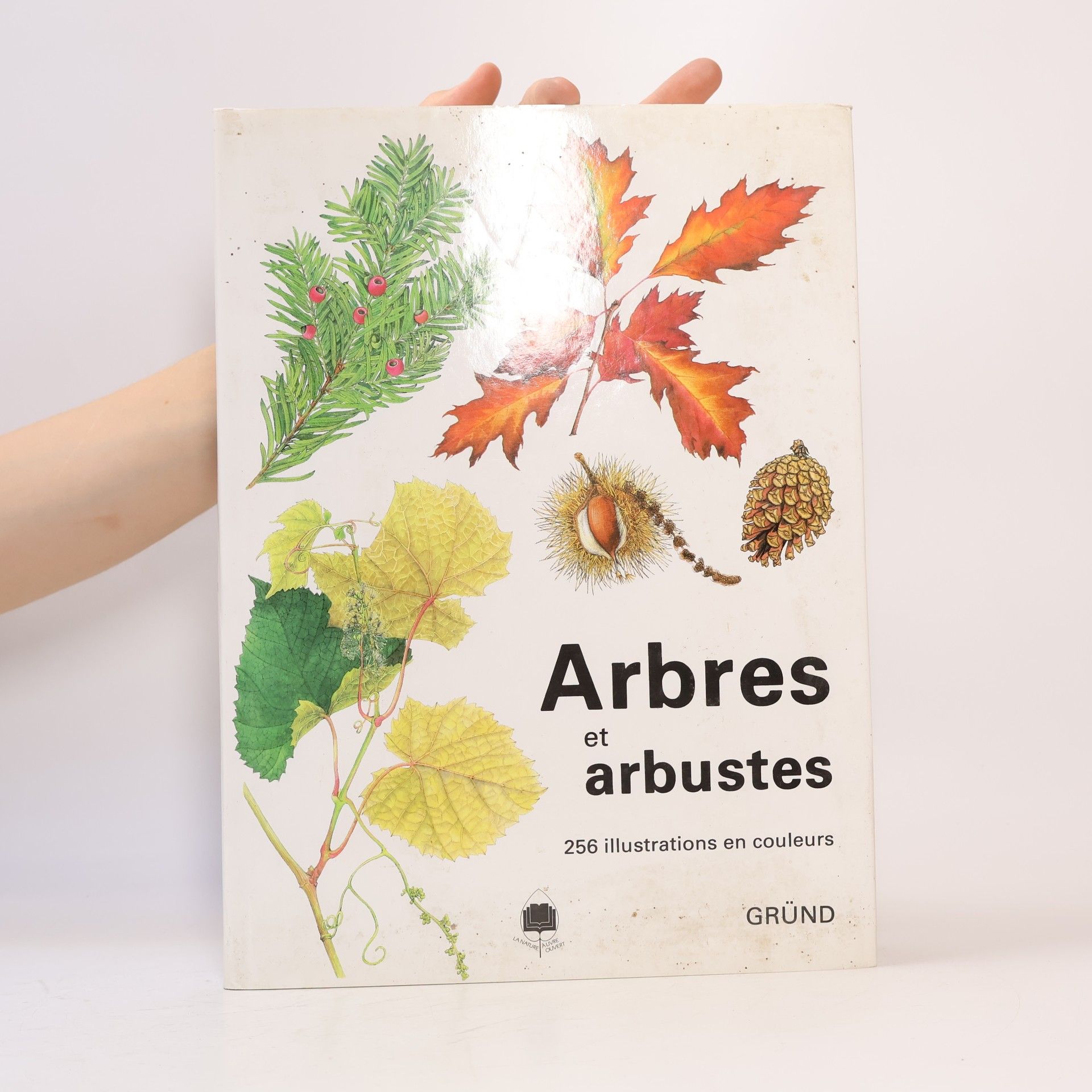 Václav Větvička Arbres et arbustes