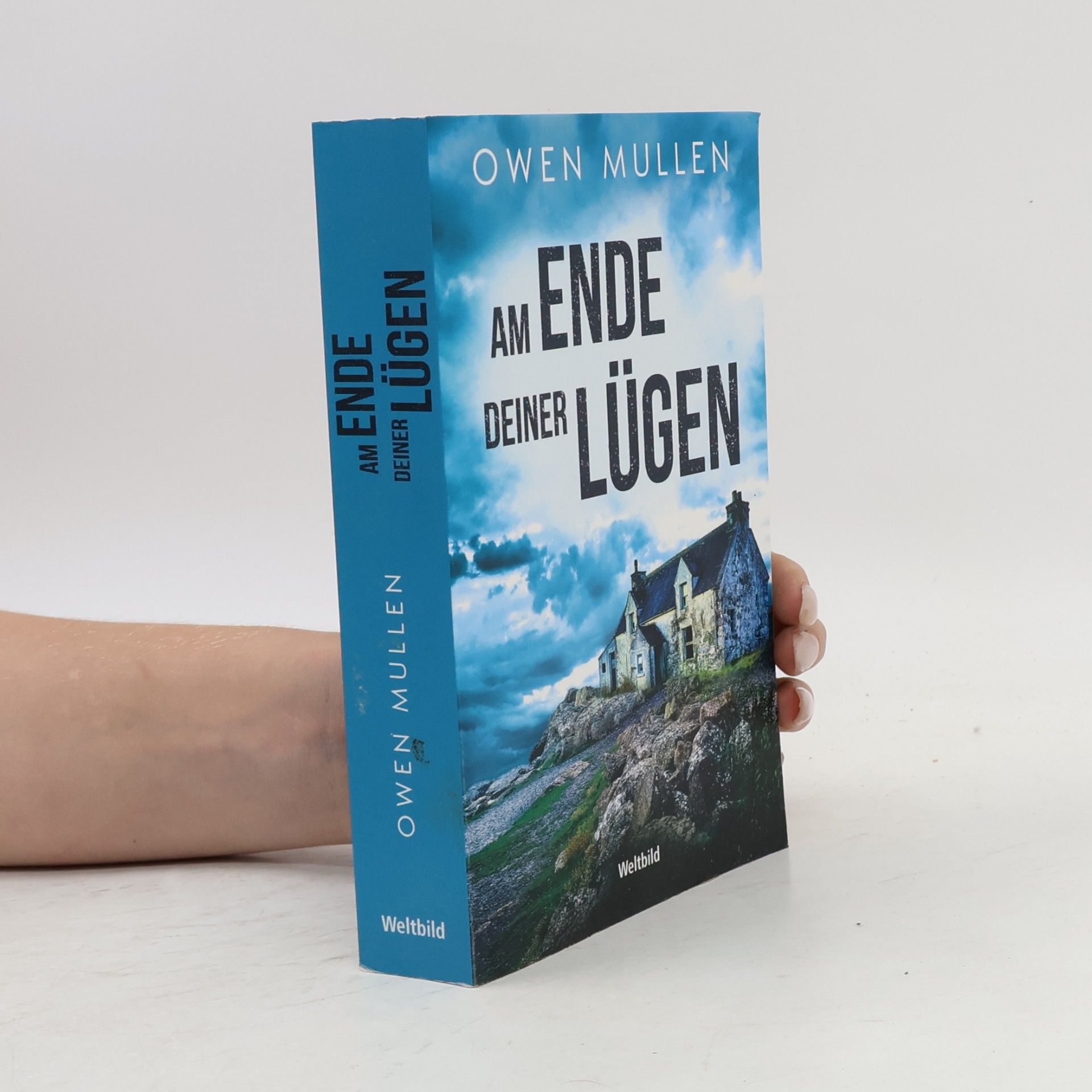 Owen Mullen Am Ende deiner Lügen