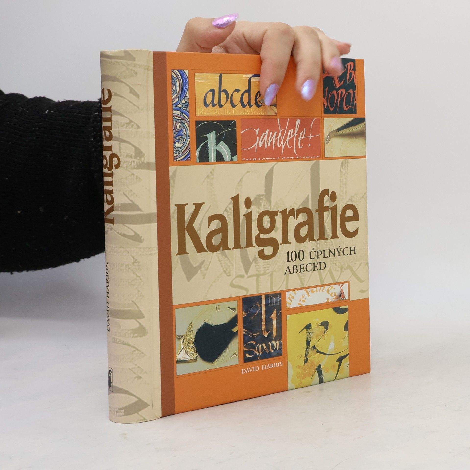 Mary Noble Kaligrafie : 100 úplných abeced: Podrobný a přehledný průvodce pro každého, kdo by se rád naučil umění krásného psaní
