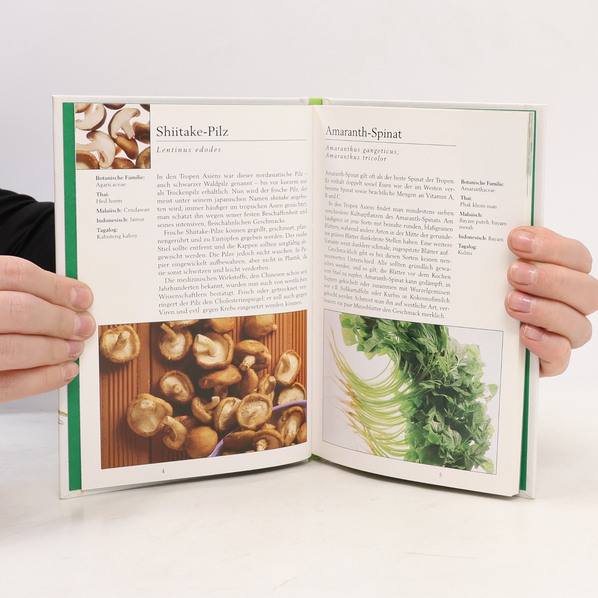 Wendy Hutton Periplus Nature Guides: Tropical Vegetables