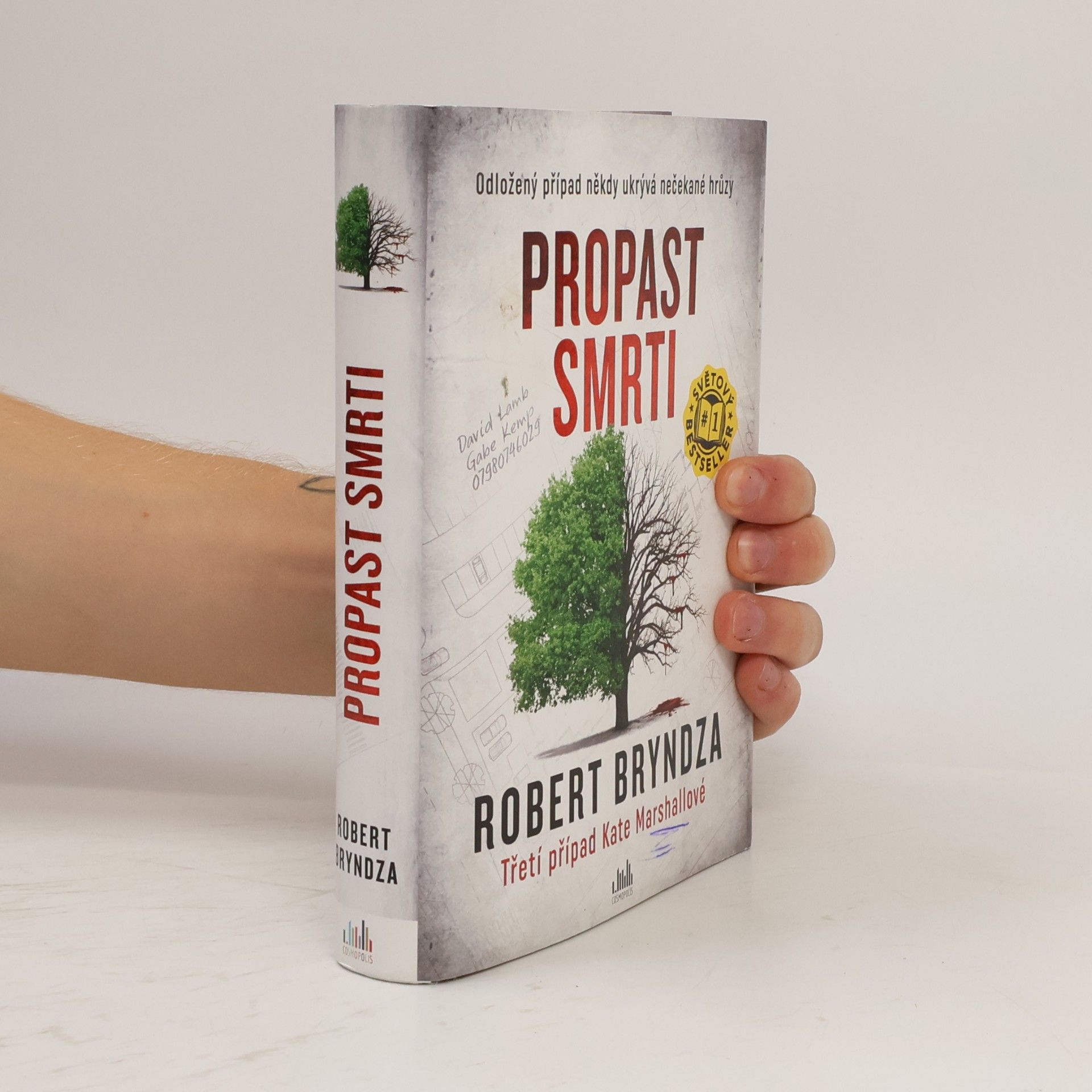 Robert Bryndza Propast smrti