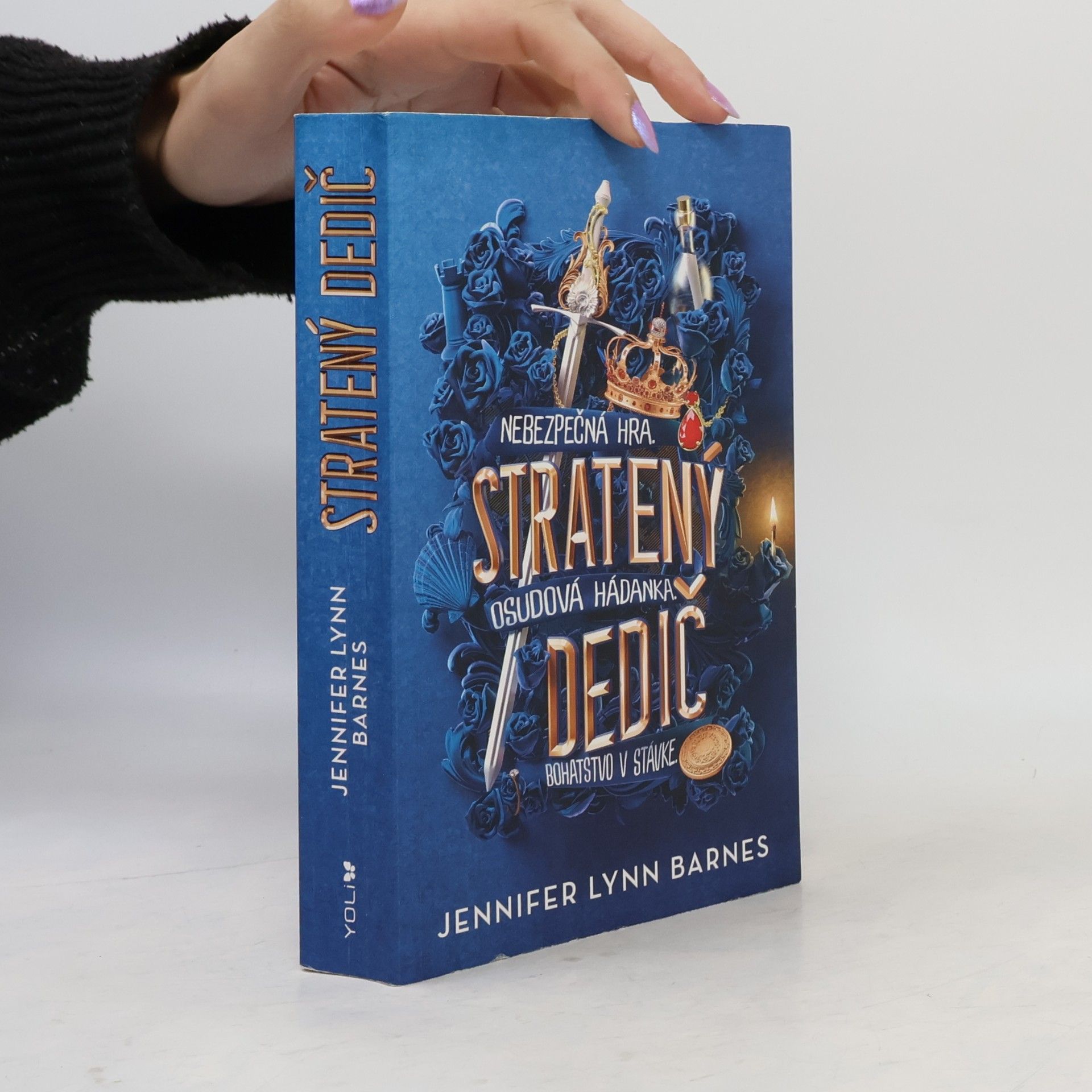 Jennifer Lynn Barnes Stratený dedič