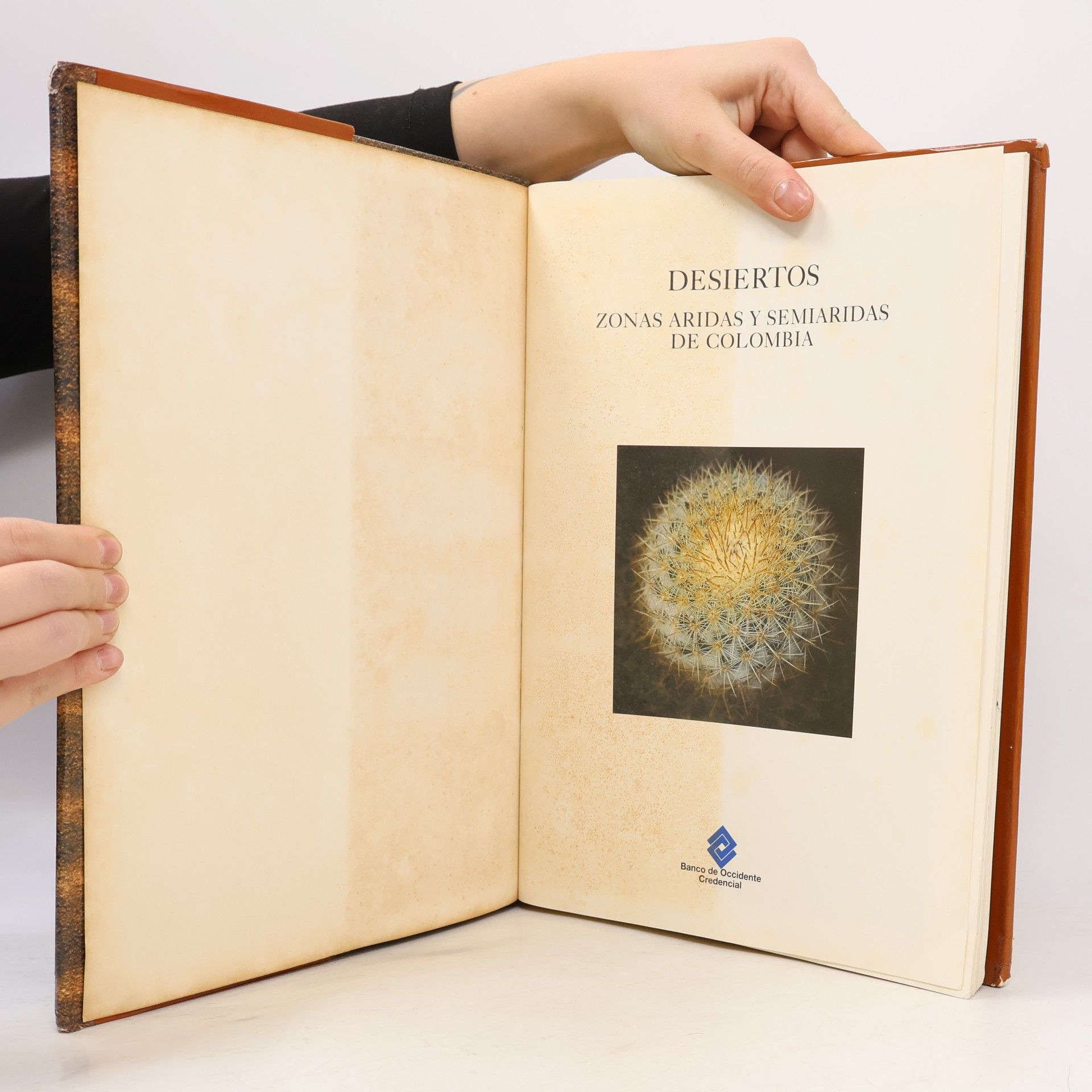Various authors Desiertos: Zonas áridas y semiáridas de Colombia