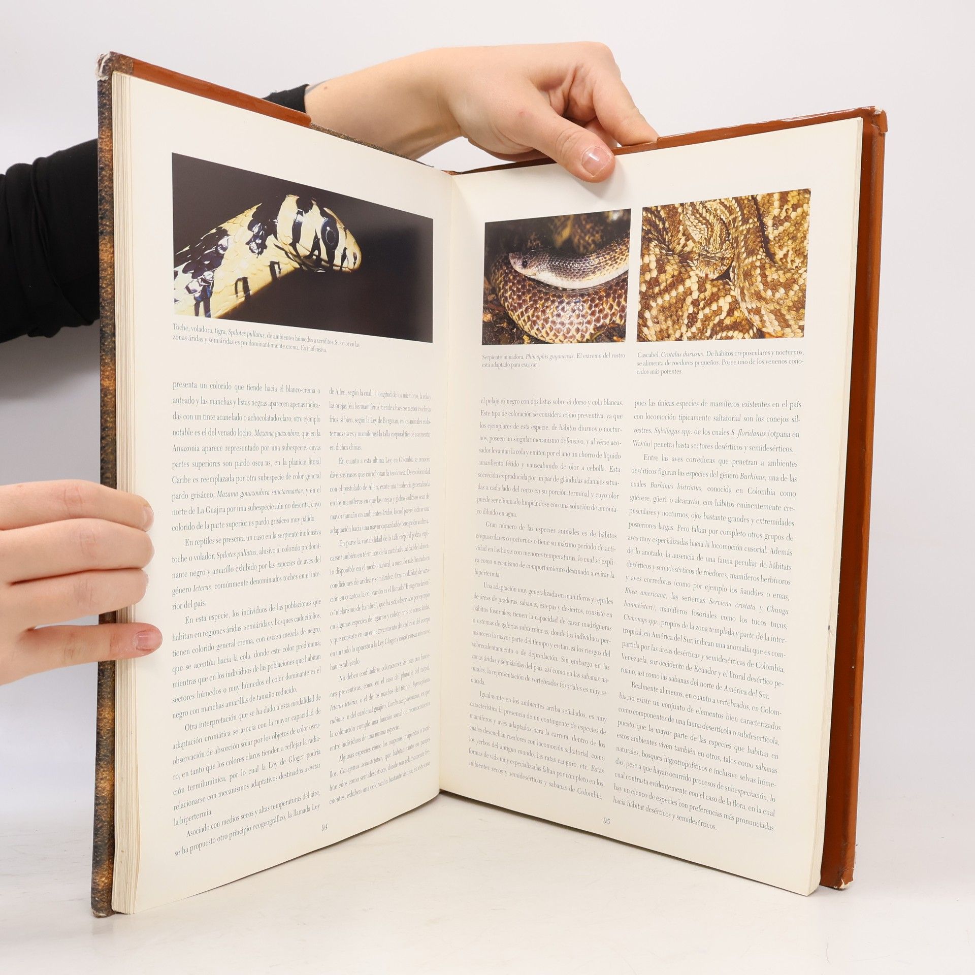Various authors Desiertos: Zonas áridas y semiáridas de Colombia