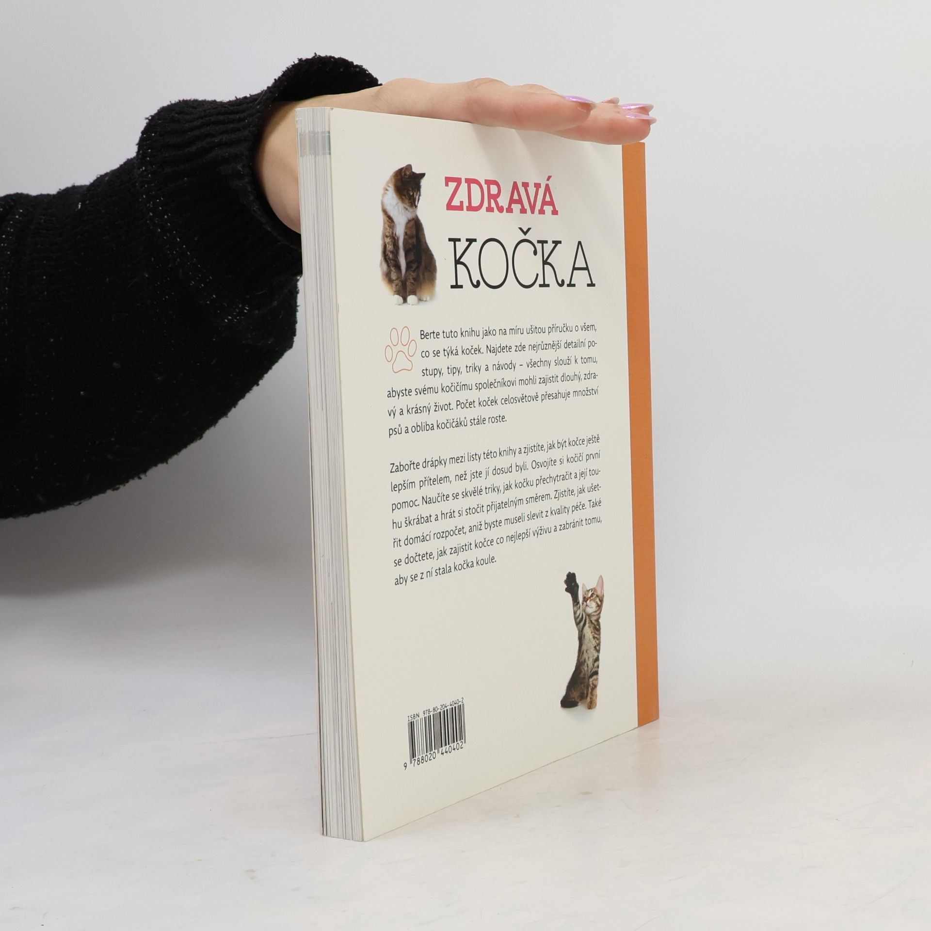 Arden Moore Zdravá kočka: Tipy & triky, jak zajistit vaší kočce delší, zdravější a šťastnější život