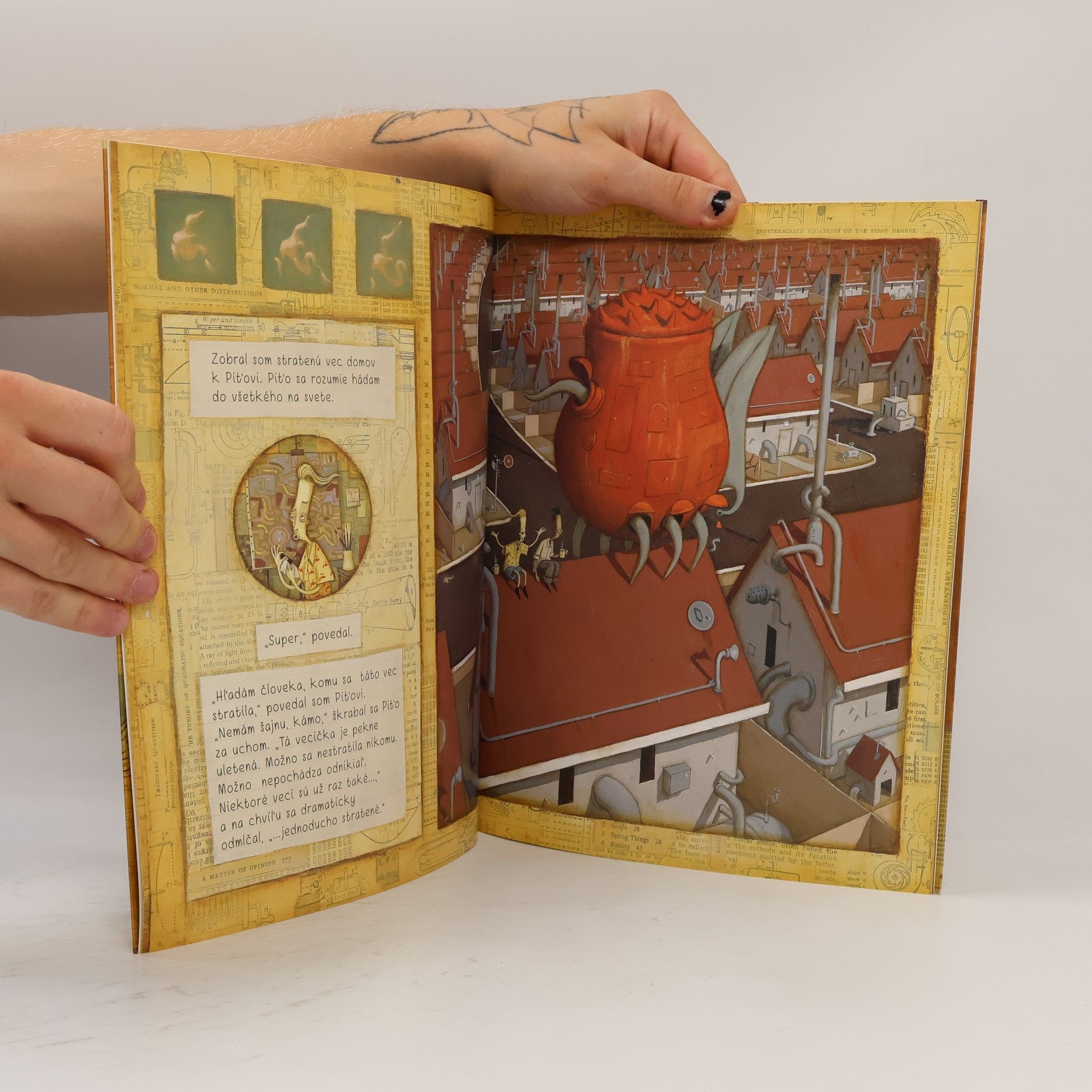 Shaun Tan Stratená vec