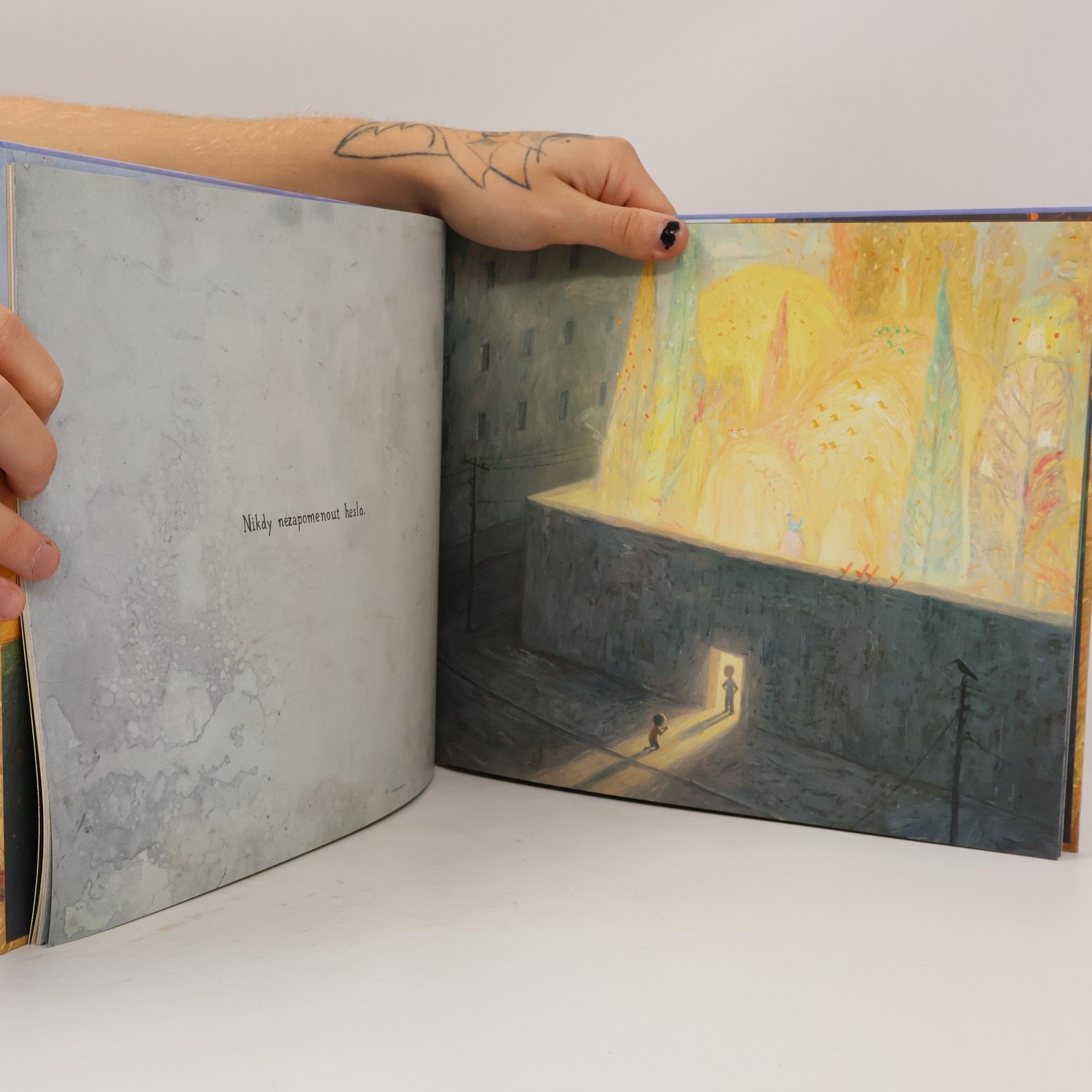 Shaun Tan Pravidla léta